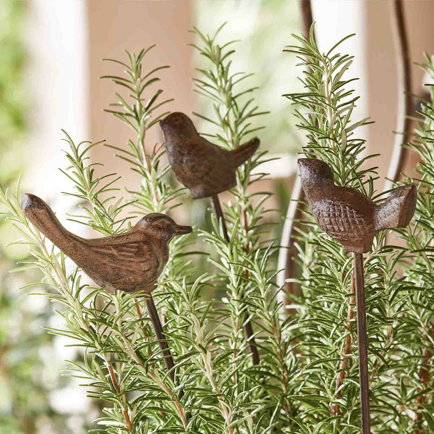 Oiseaux décoratifs en métal brun sur tiges plantés dans des branches vertes de romarin