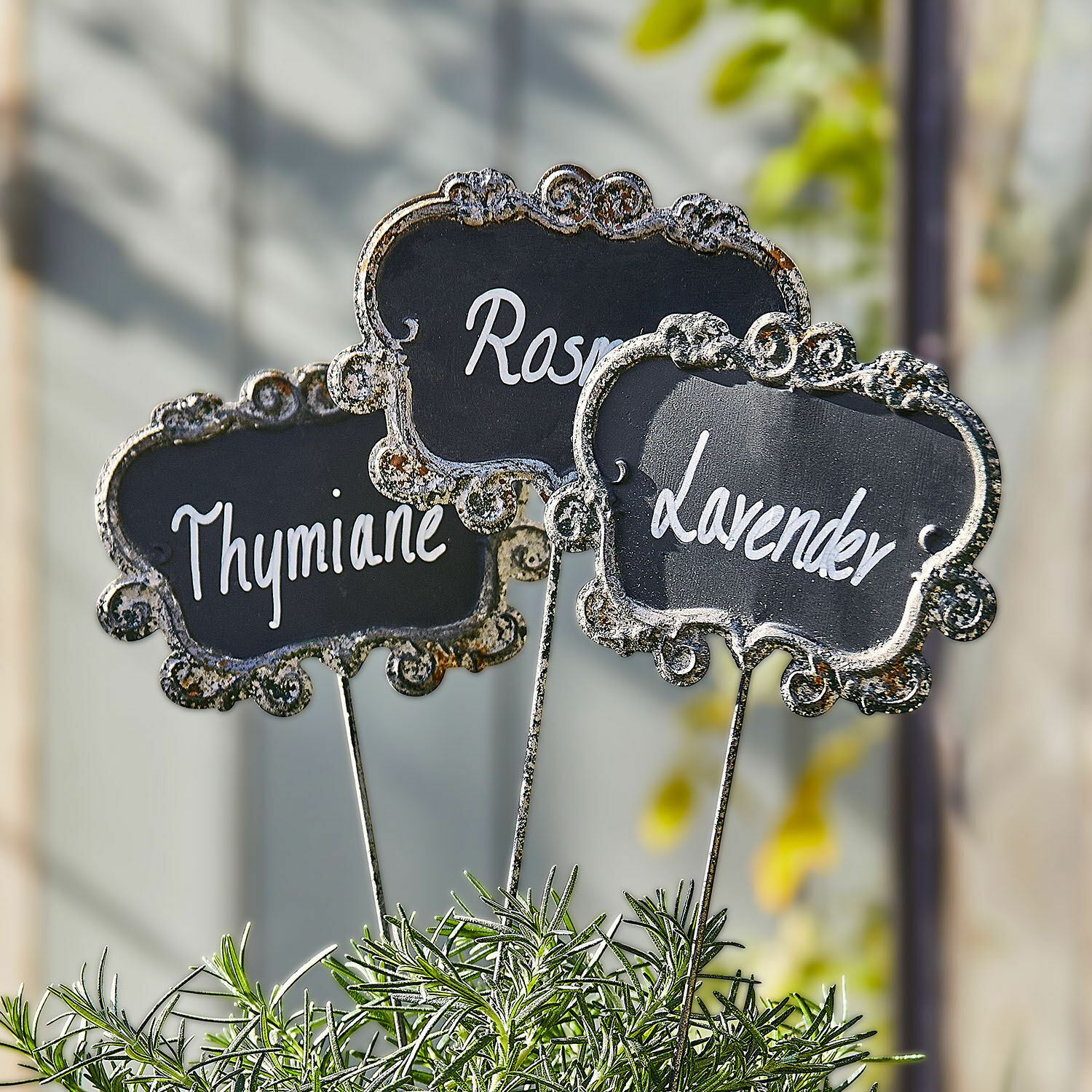 Lot de 3 décorations pour plantes Trevalin