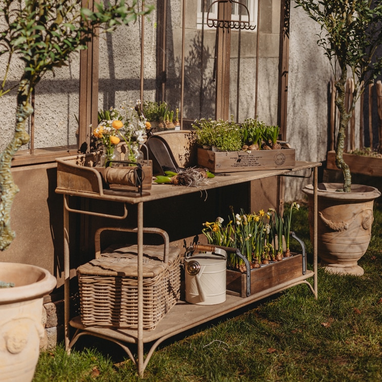 Table de jardin en métal avec caisses en bois et fleurs en pot sur pelouse près d'une serre