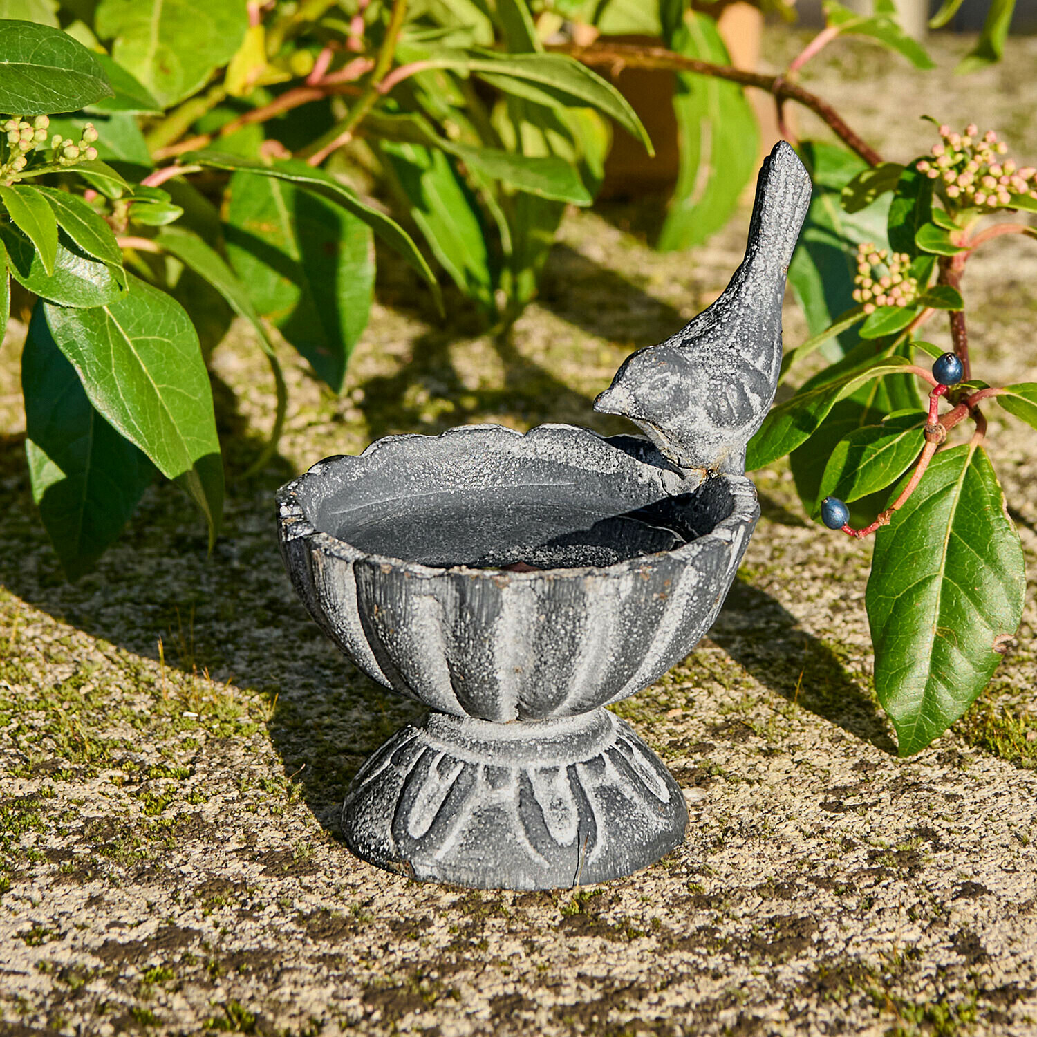 Abreuvoir pour oiseaux Méravon Coupe décorative en fonte grise avec oiseau sculpté, parfaite pour jardin ou terrasse