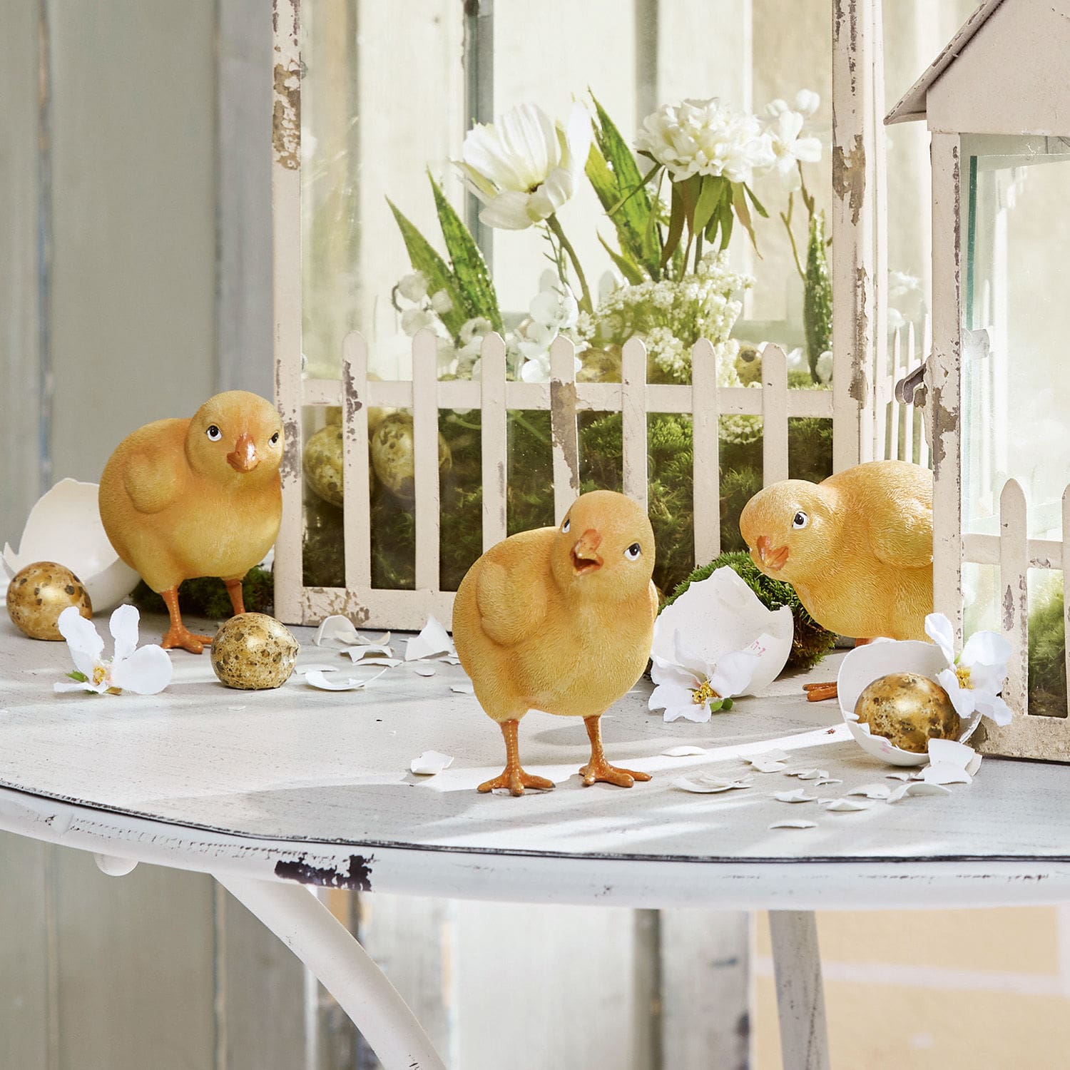Lot de 4 poussins Wendolin