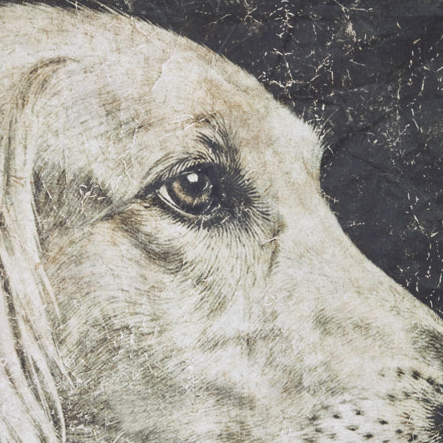 Tableau Célou