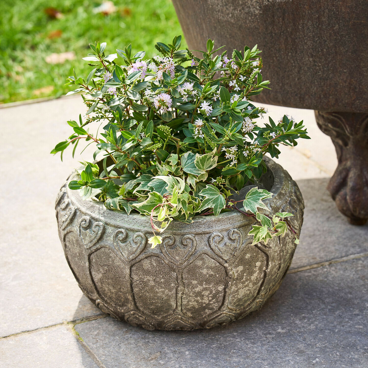 Jardinière ronde en pierre grise avec plantes vertes et fleurs blanches sur terrasse en pierre