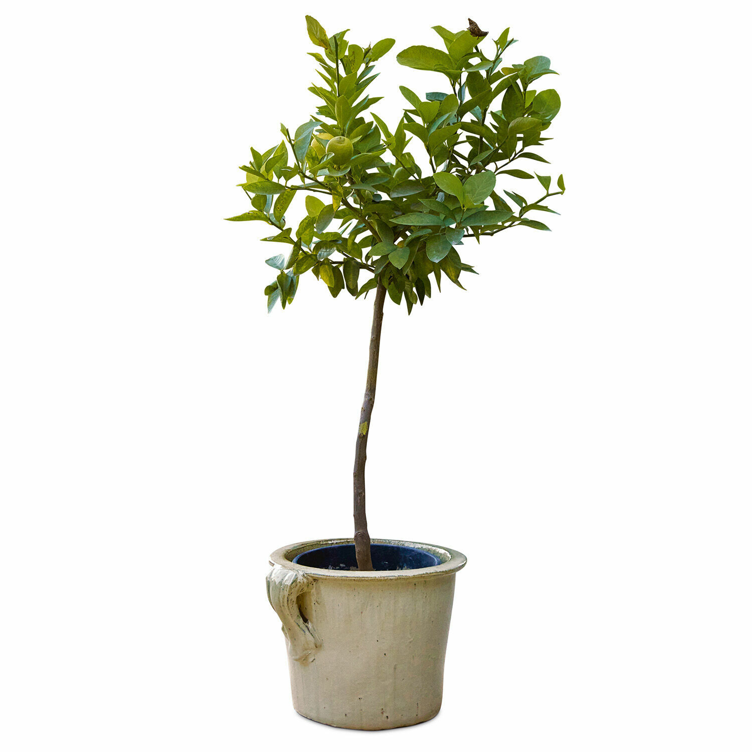 Cache-pot Lemay