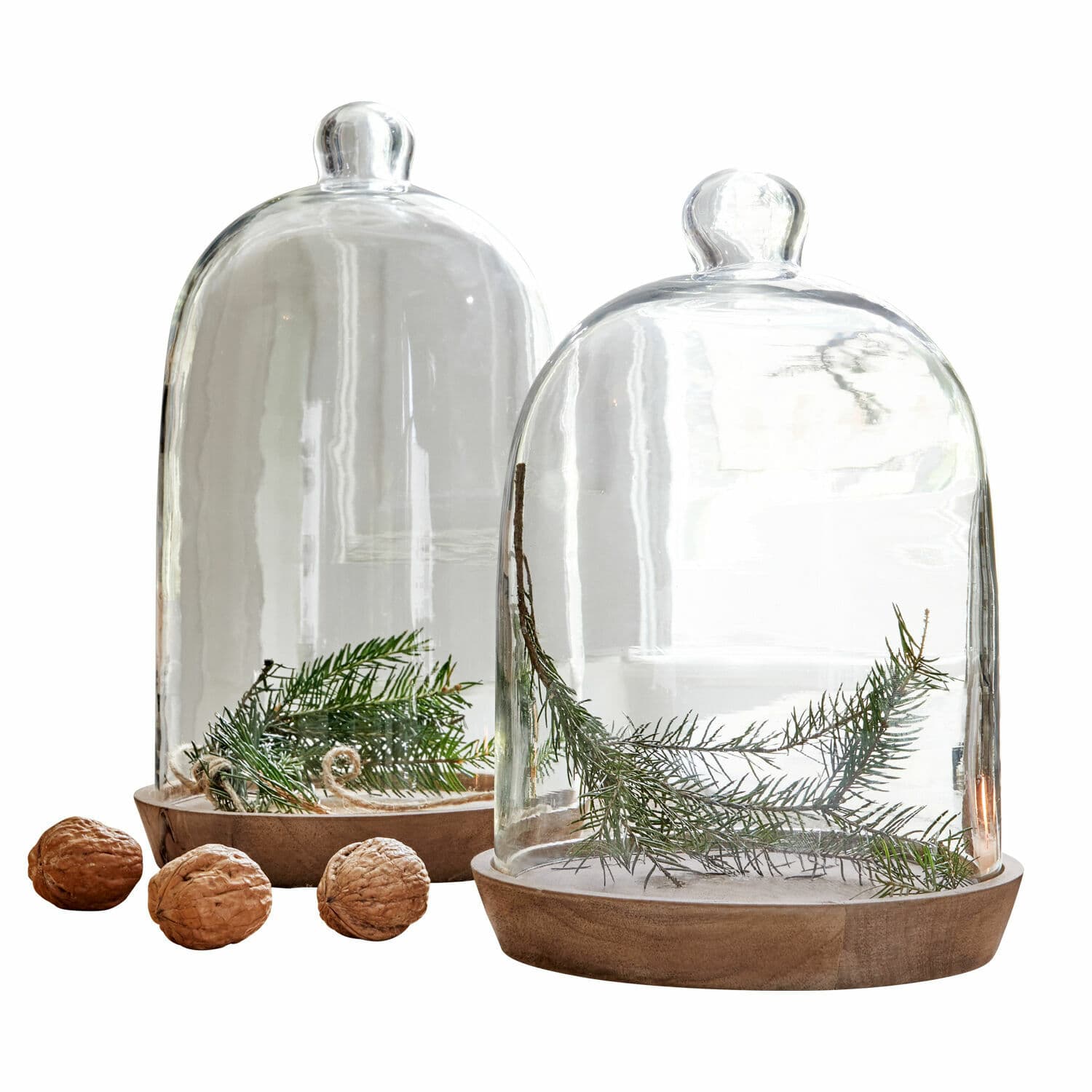 Lot de 2 cloches en verre avec plateaux New Hampshire