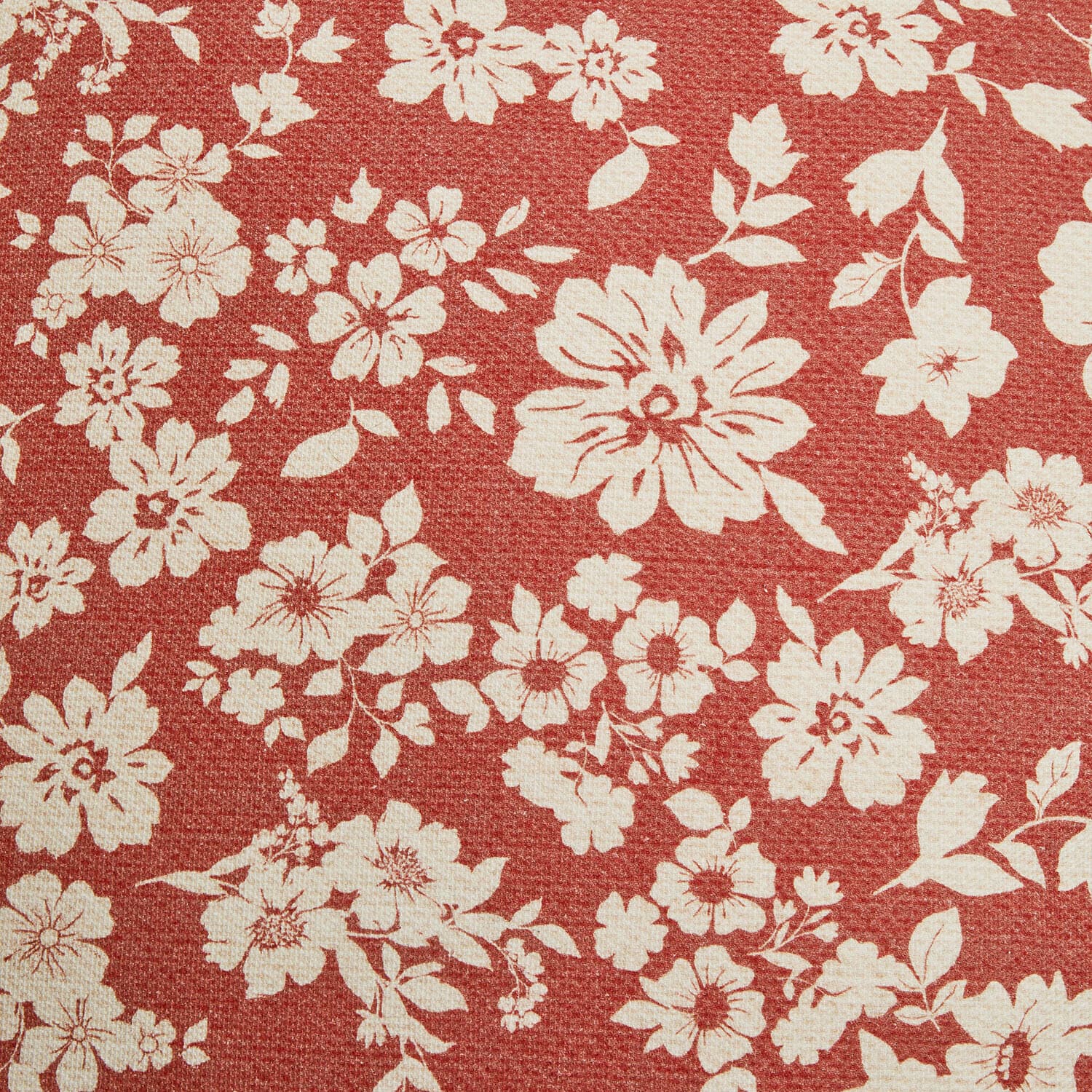 Lot de 2 coussins Frambelle