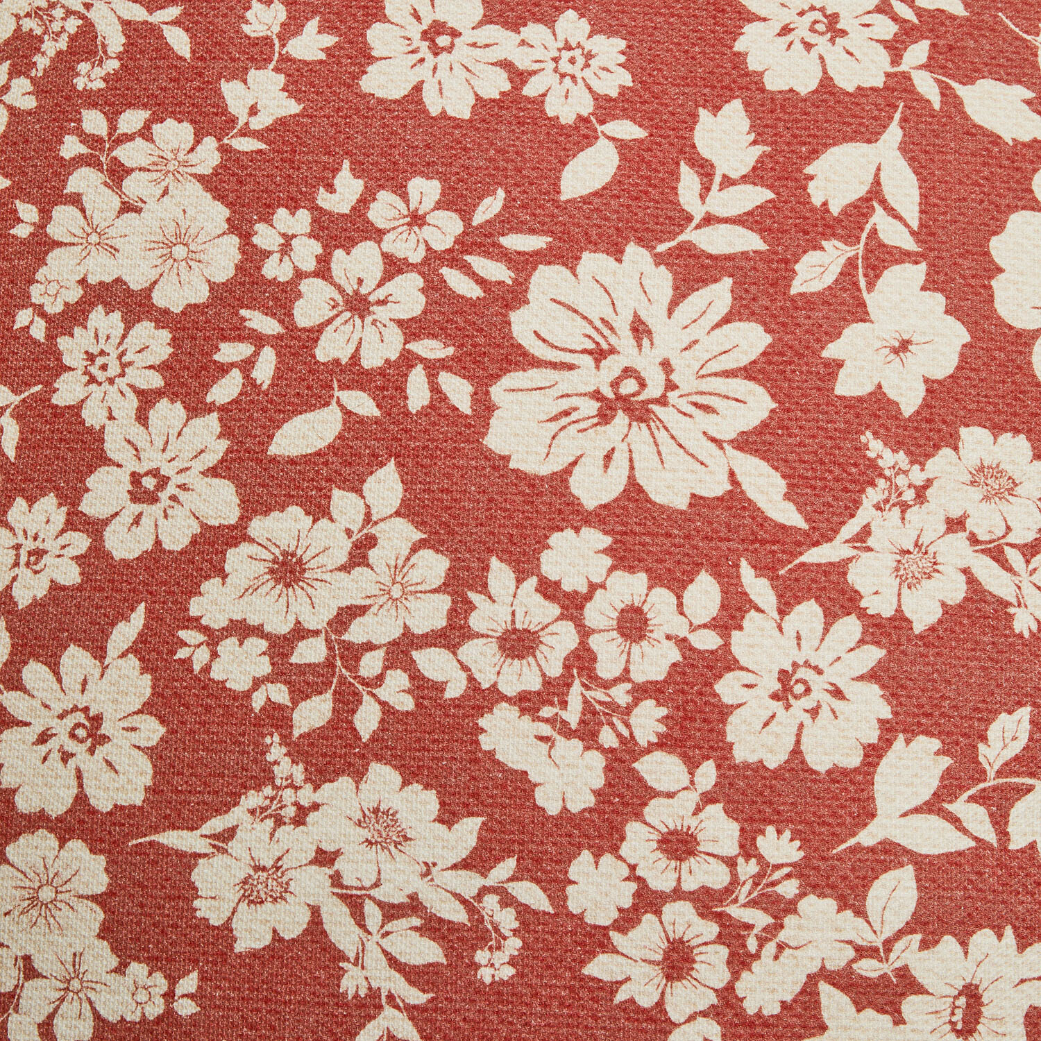 Lot de 2 coussins Frambelle