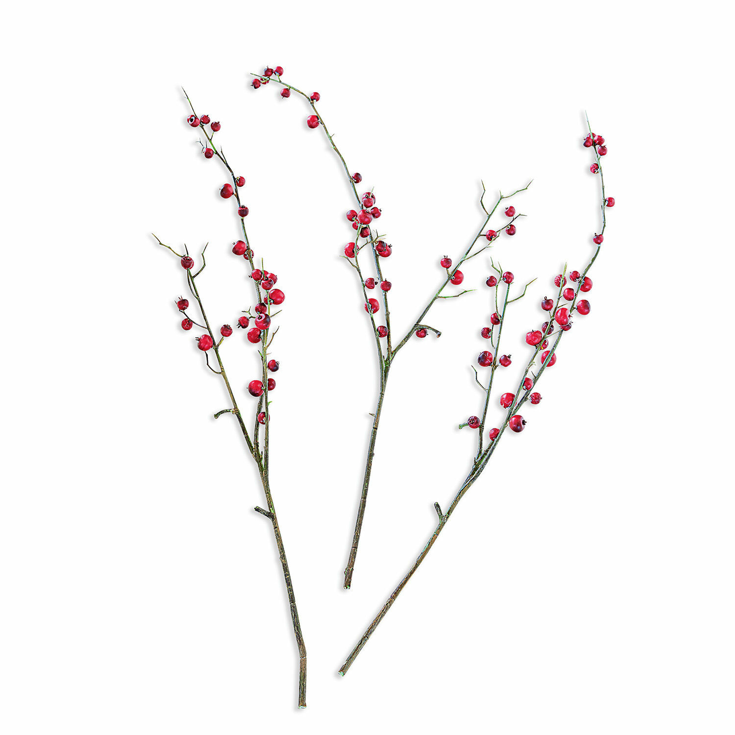 Branche décorative Dillon