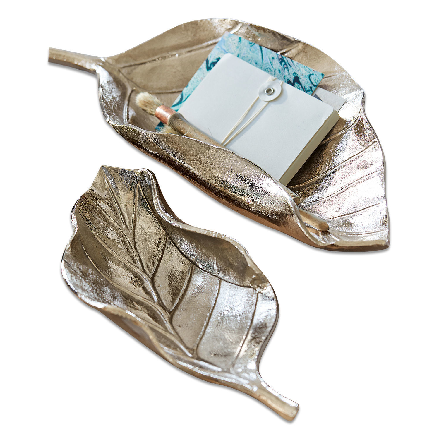 Lot de 2 coupes Chelmick