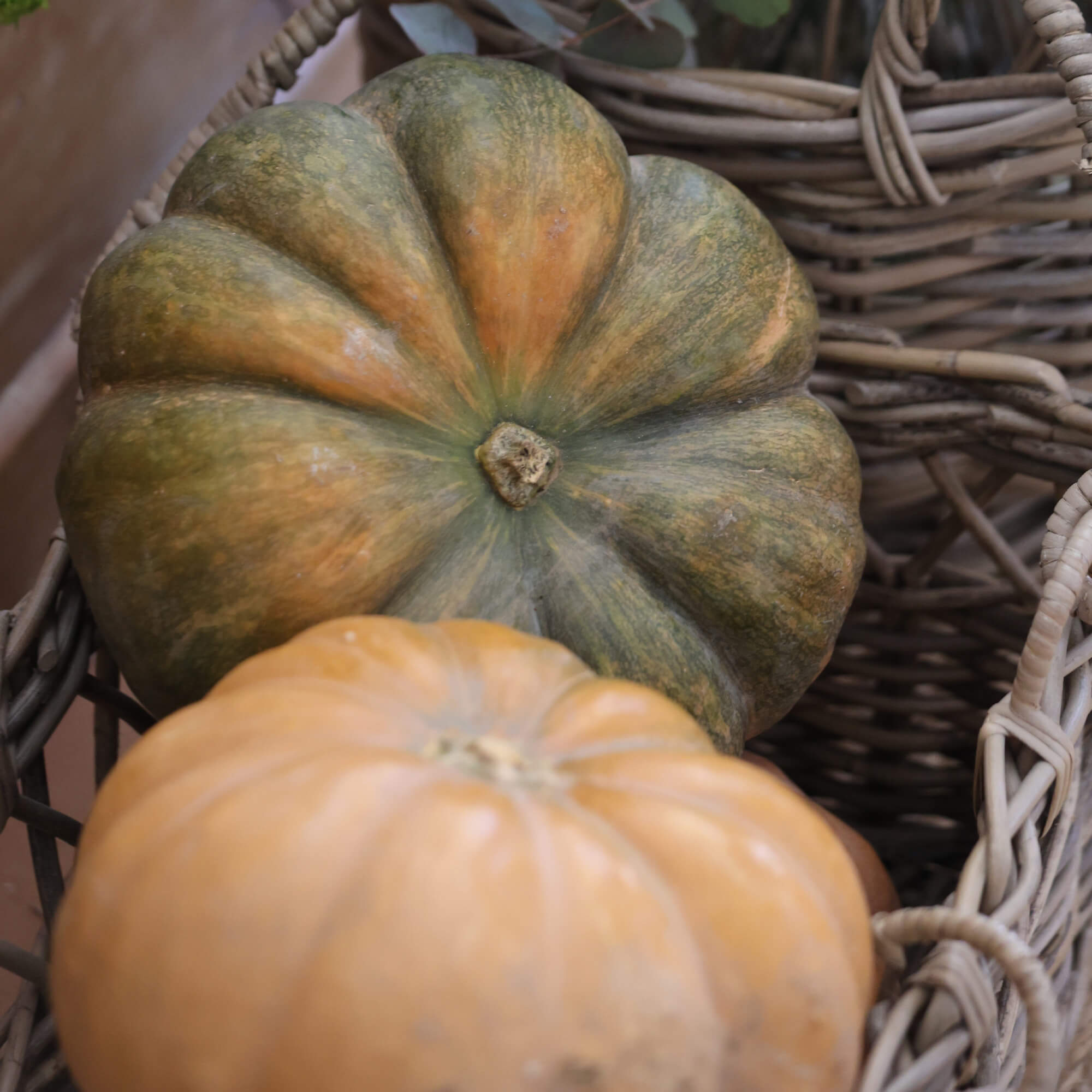 Deux citrouilles dans un panier en osier, vert-orange et orange clair, décoration d'automne