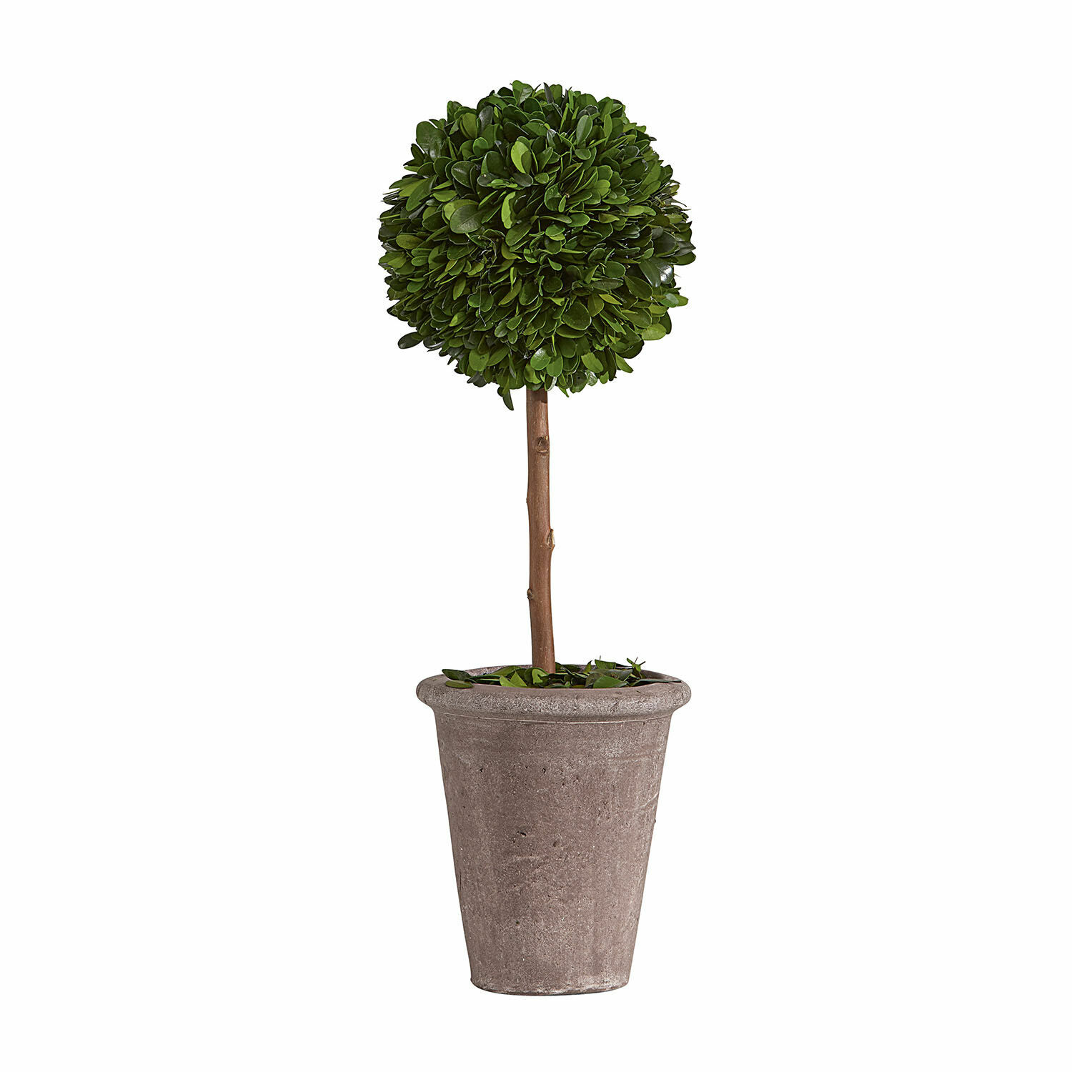 Arbre décoratif Aube Arbre artificiel de buis dans un pot gris en matière synthétique, décoration intérieure et extérieure