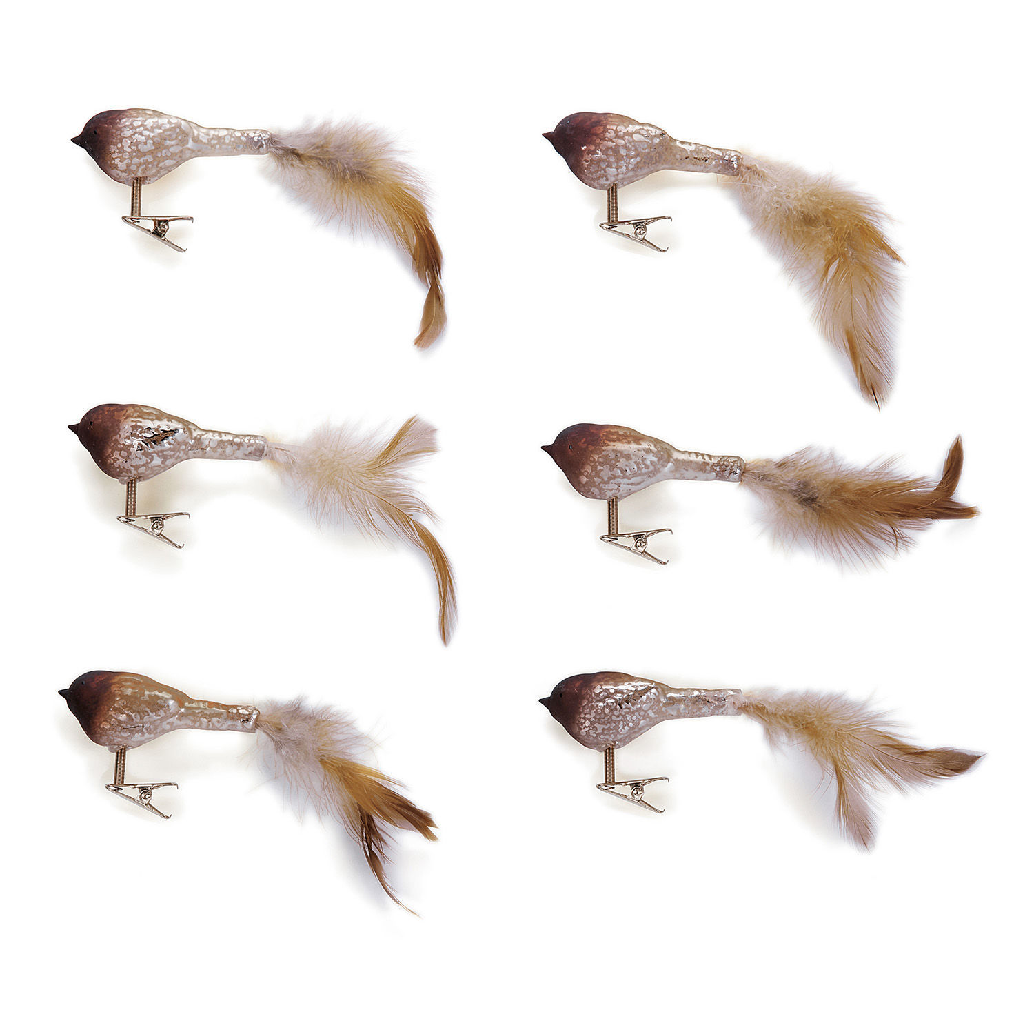 Lot de 6 oiseaux Ceallach