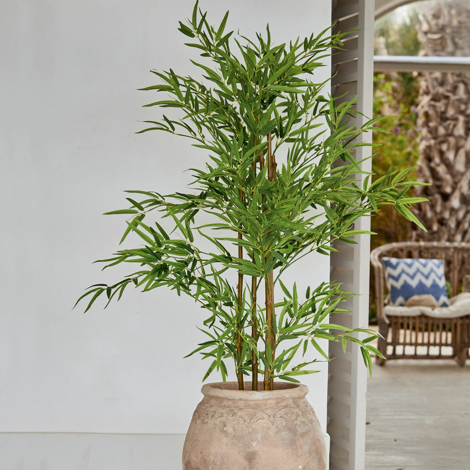 Plante décorative en pot Ligron