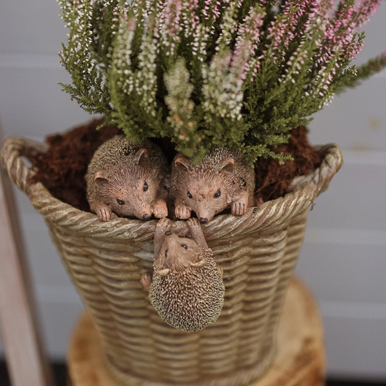 Pot en résine imitation osier avec décoration de trois hérissons et bruyère aux fleurs vertes et roses