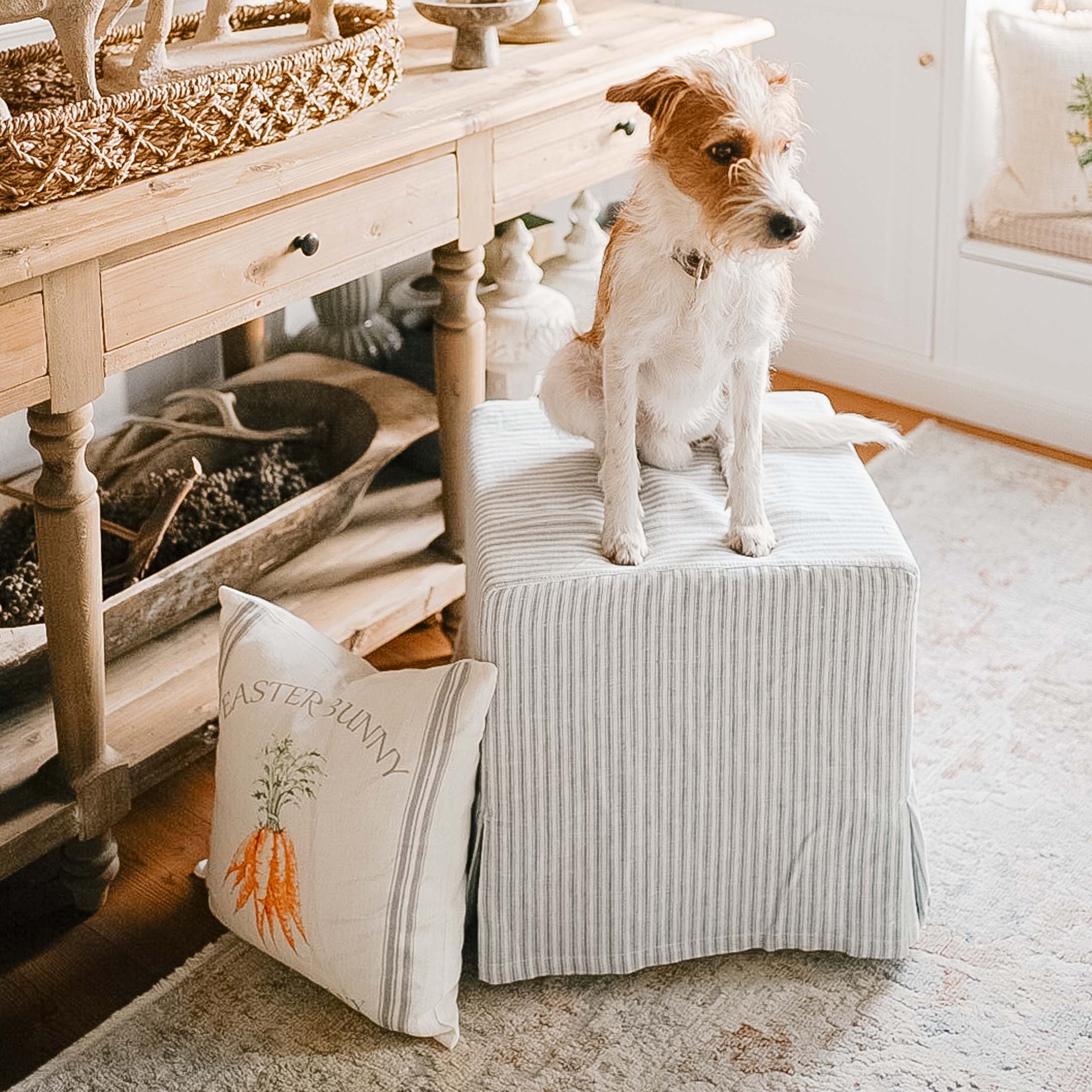 Petit chien assis sur un pouf rayé gris clair dans un intérieur chaleureux avec coussin décoratif.