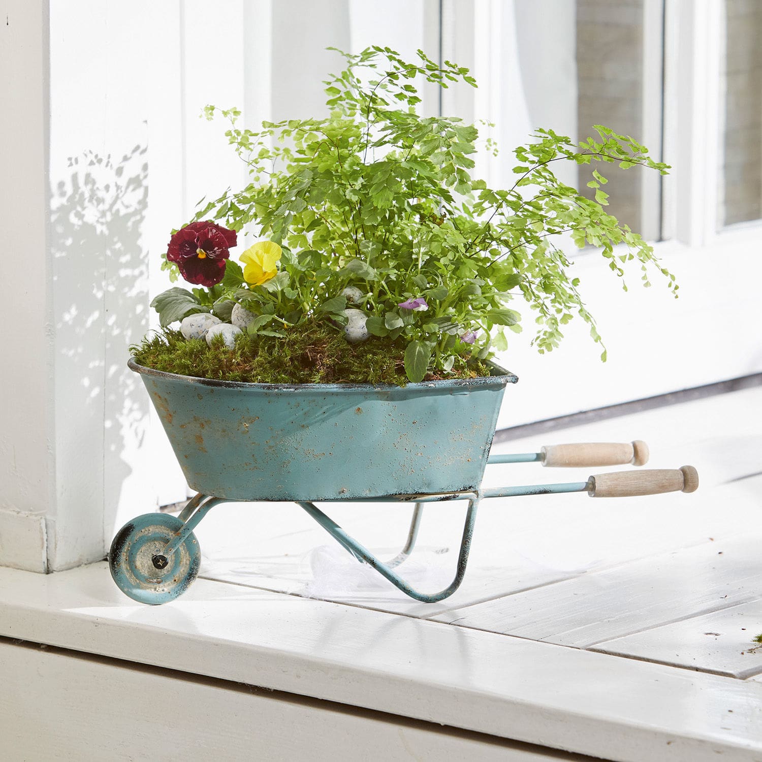 Brouette décorative Morla Brouette en métal bleu avec poignées en bois remplie de plantes vertes et fleurs sur un rebord de fenêtre