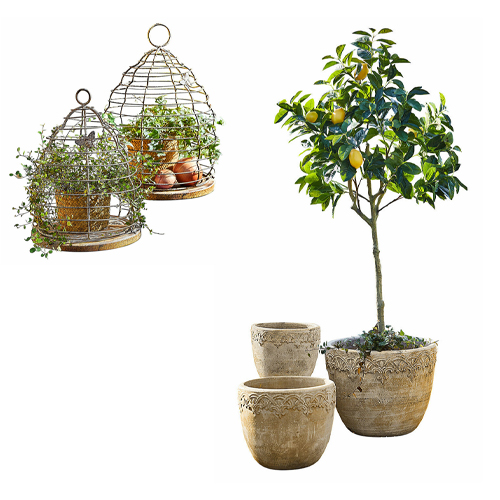 Ensemble de trois pots en céramique beige avec plantes et cages décoratives en métal