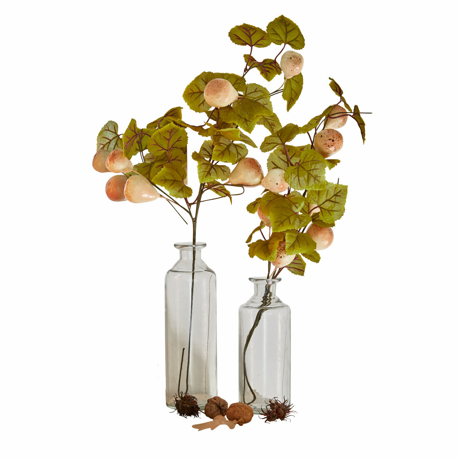 Lot de 2 vases Claralis