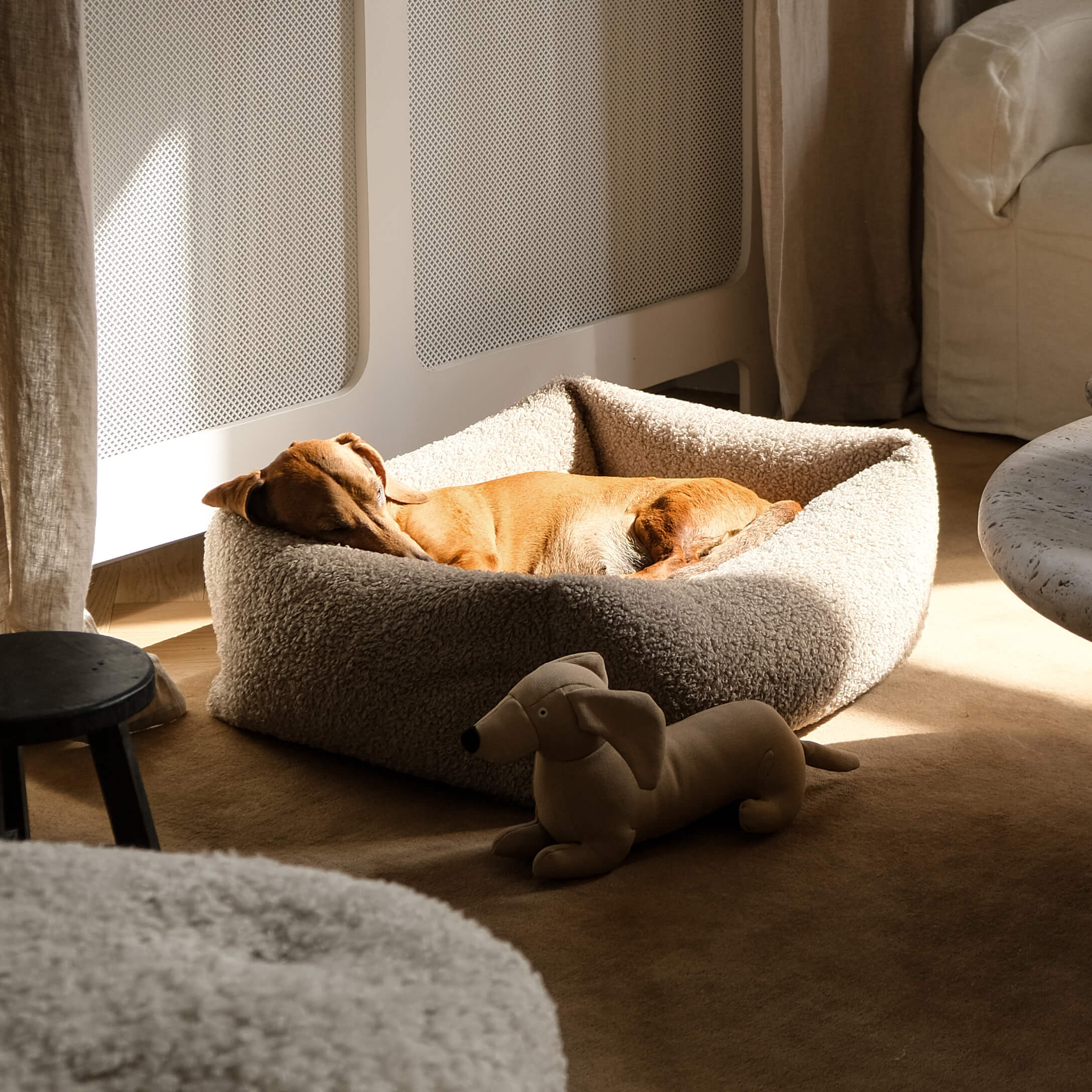 Chien marron dormant dans un panier beige en tissu pelucheux dans un salon lumineux