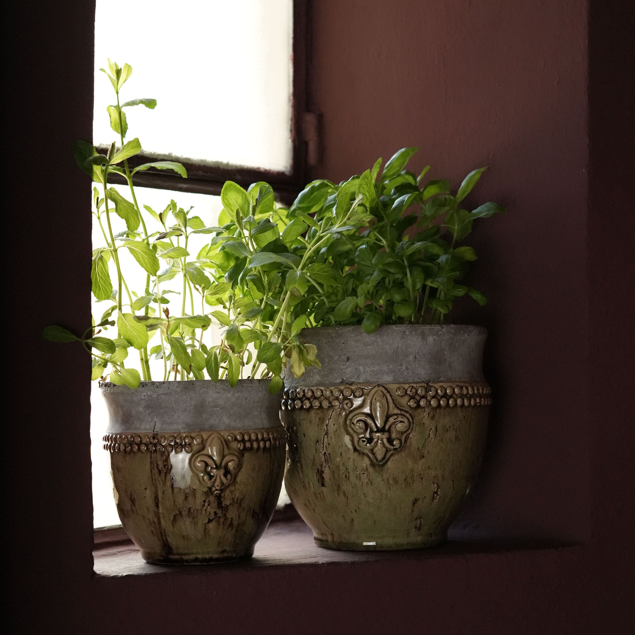 Deux pots en céramique avec plantes vertes sur le rebord de la fenêtre, motifs décoratifs