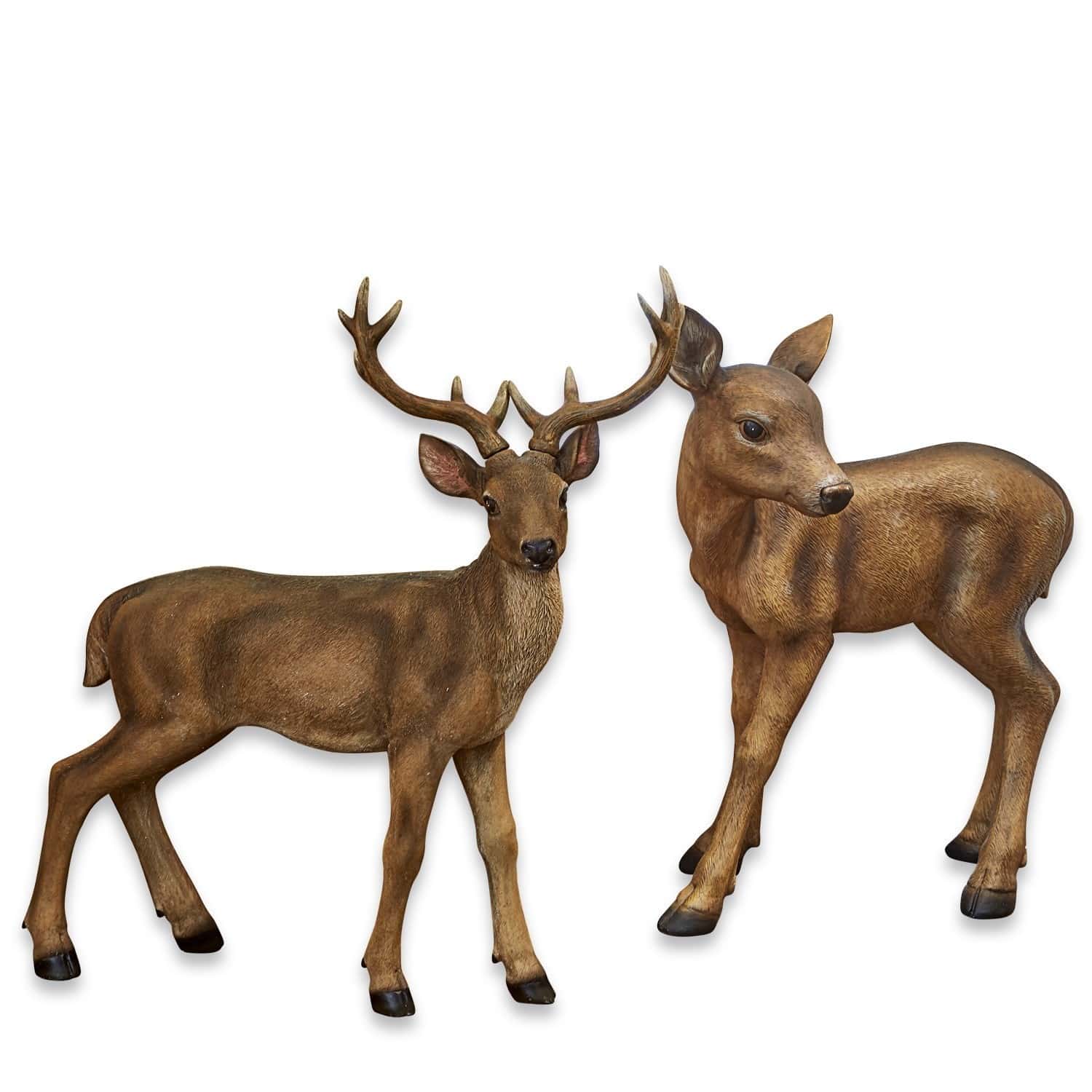 Décoration cerf + chevreuil Soliers