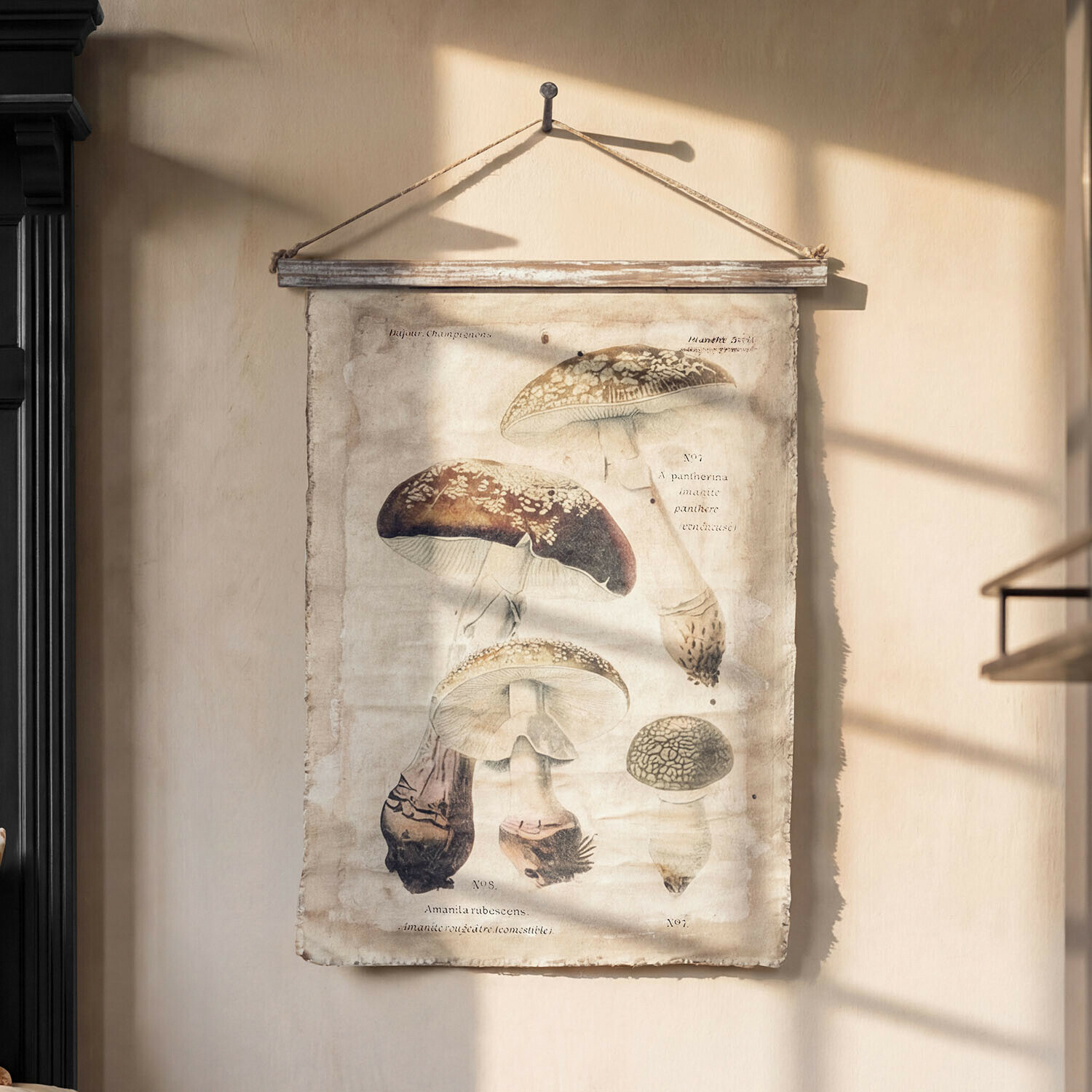Tableau Rynmor Affiche en toile avec illustration de champignons, suspendue par une corde et une barre en bois