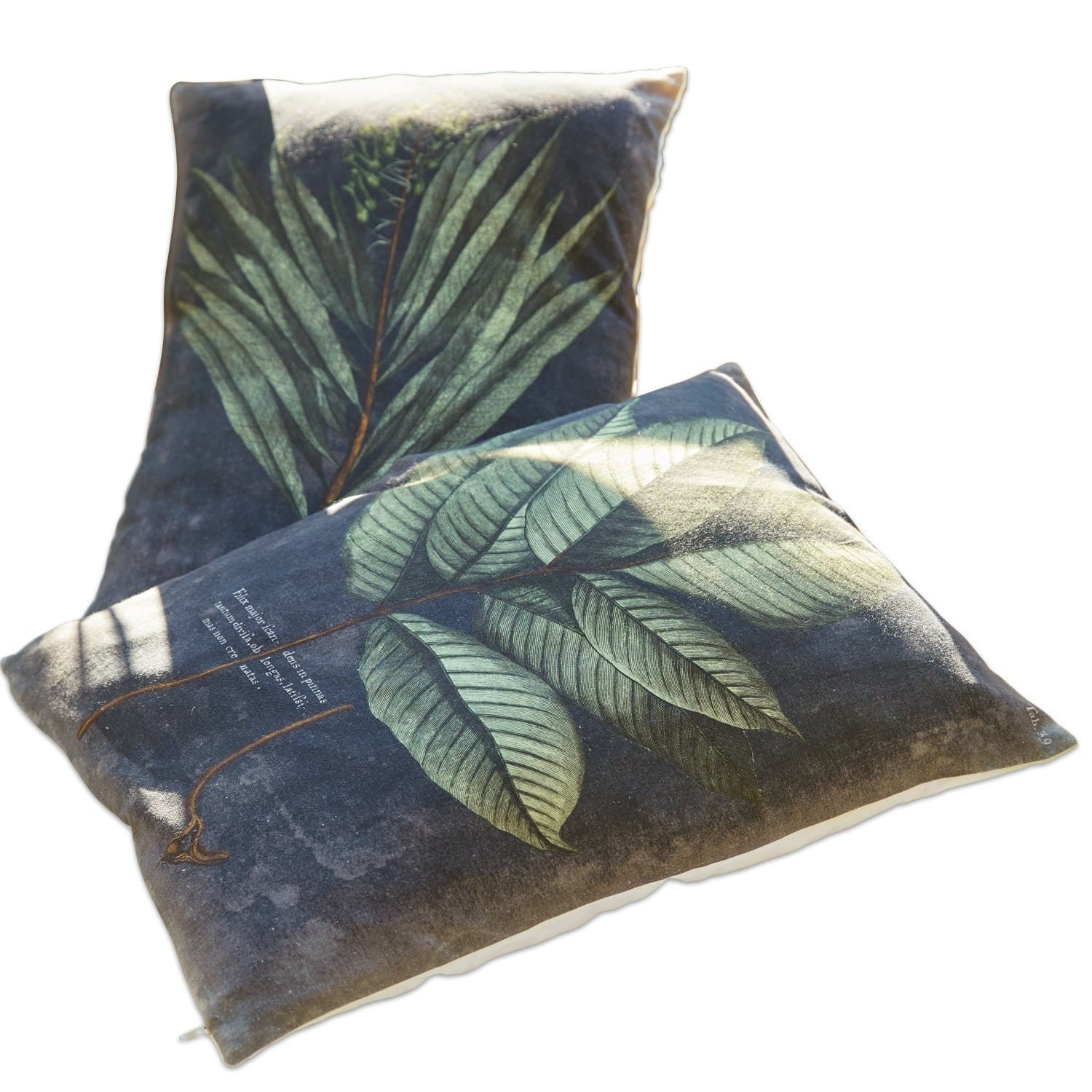Lot de 2 coussins Madyson
