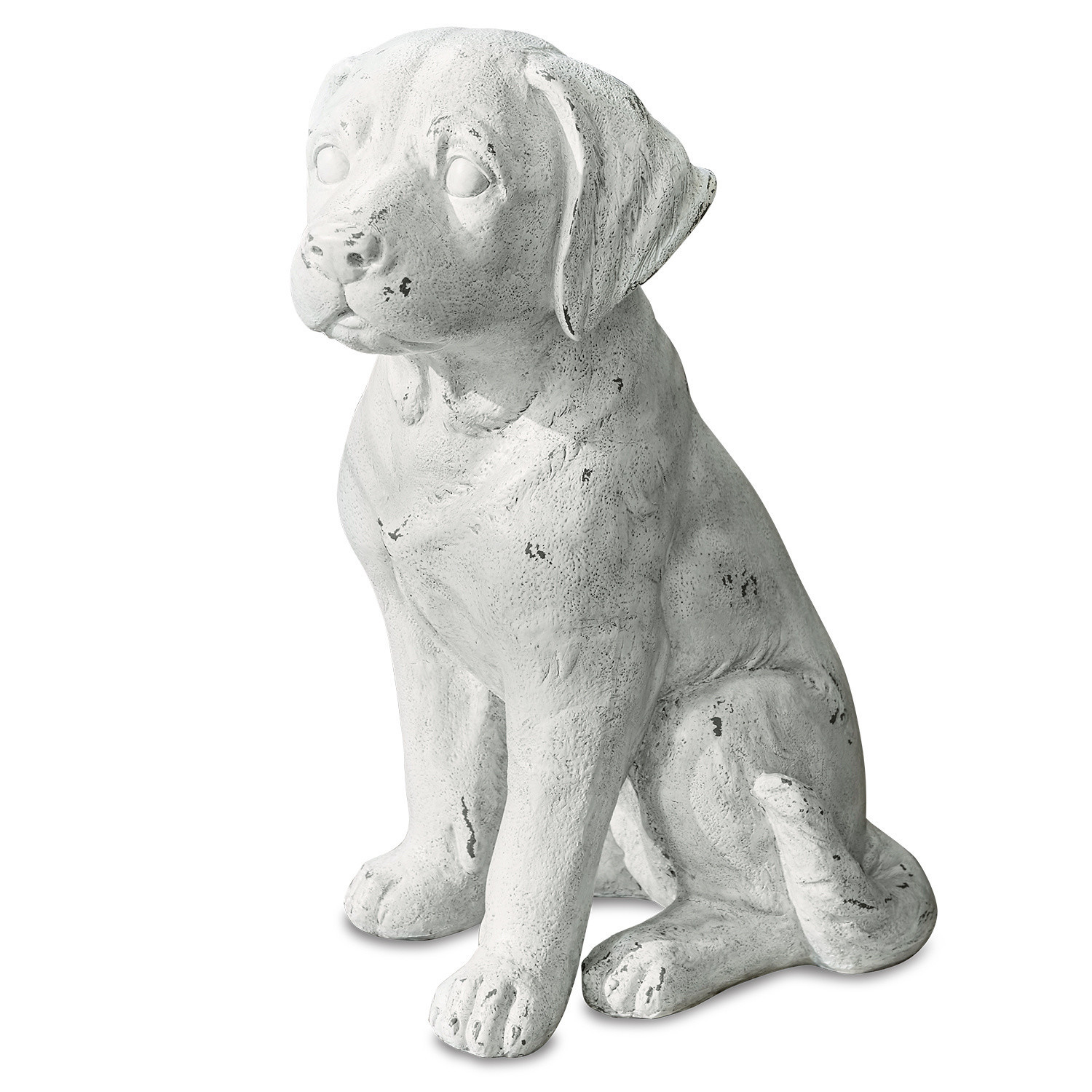 Chien Mere