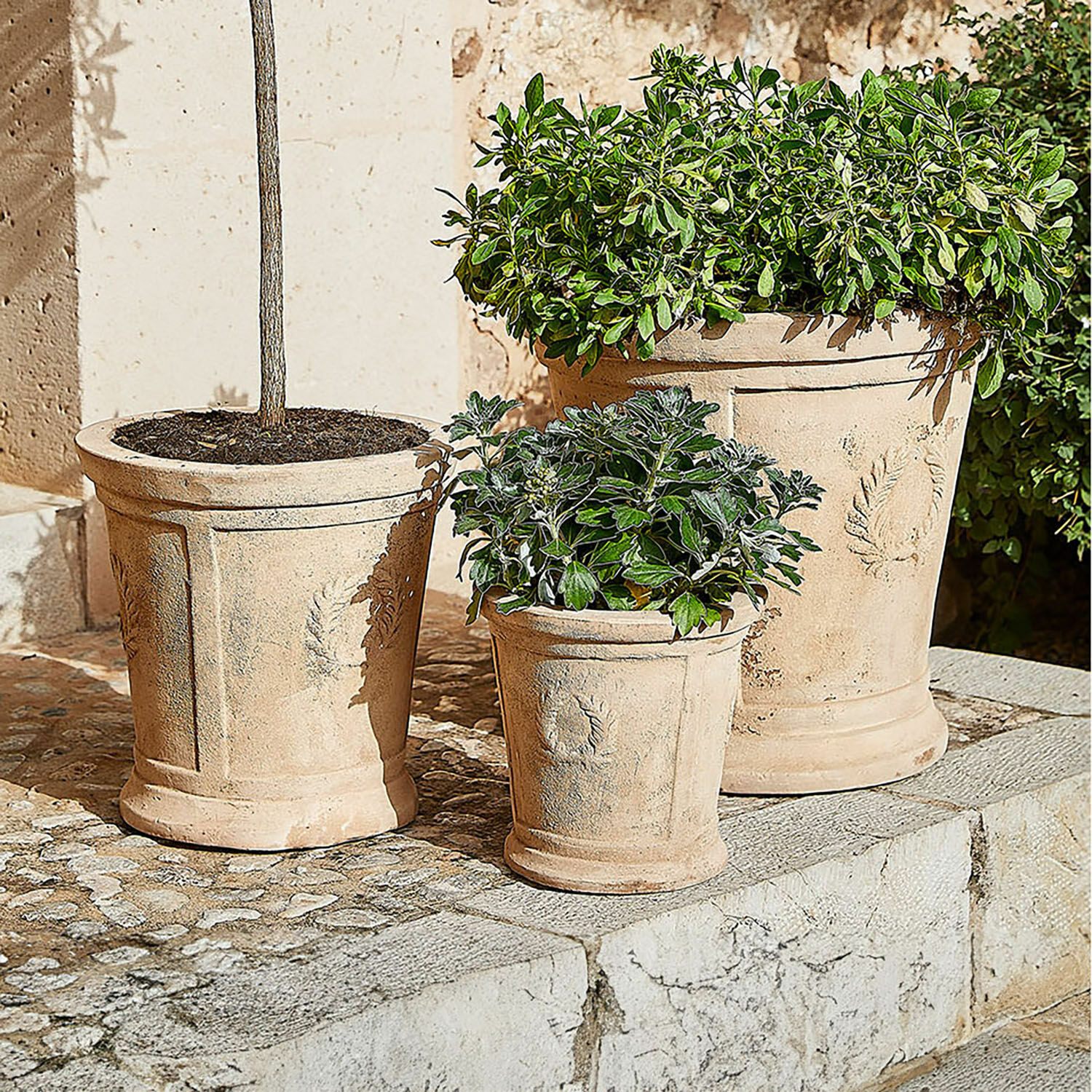 Lot de 3 cache-pots Nesrin Trois pots en terre cuite beige avec plantes sur terrasse en pierre, pots décoratifs pour jardin