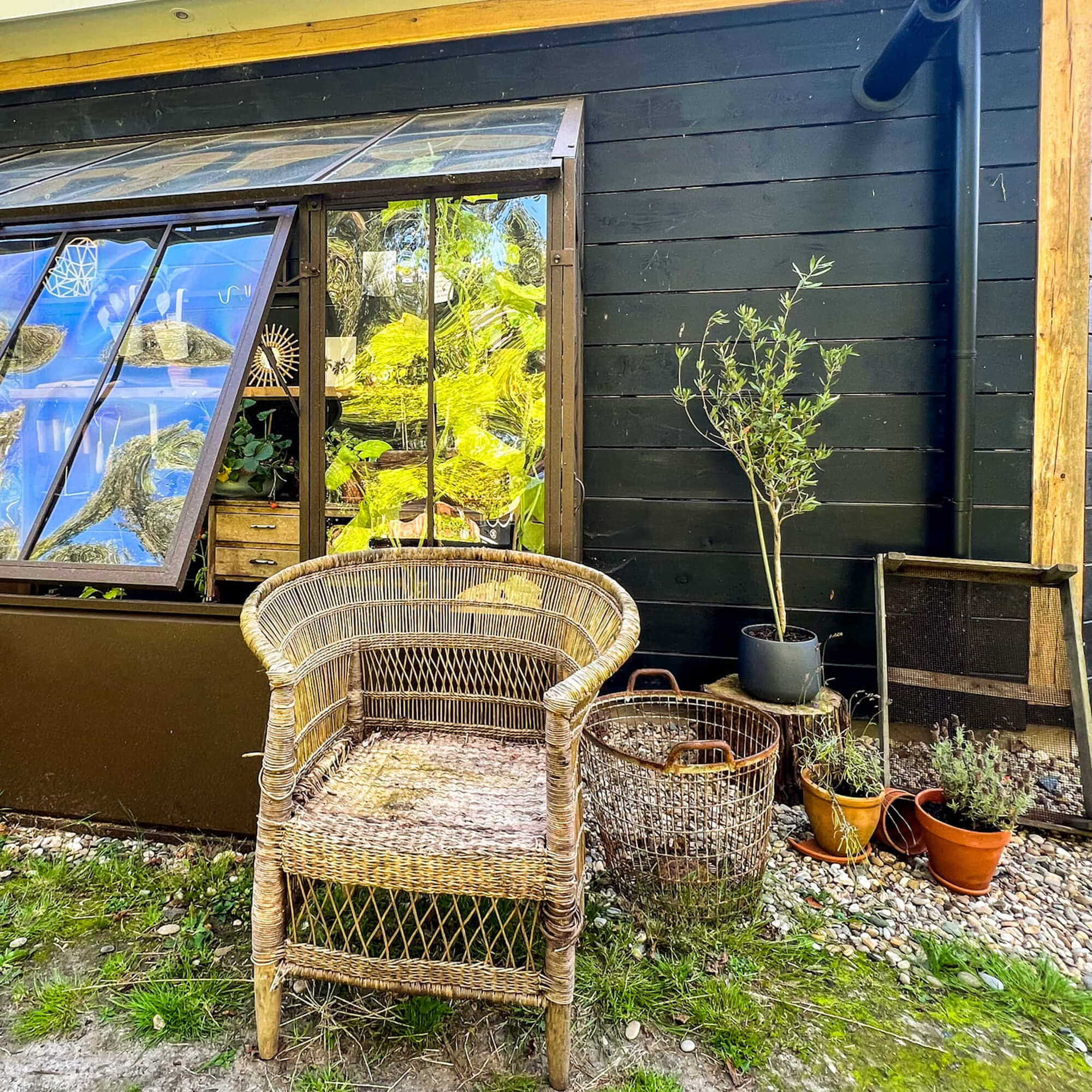 Fauteuil en rotin couleur naturelle devant un mur noir avec des plantes en pot dans un jardin
