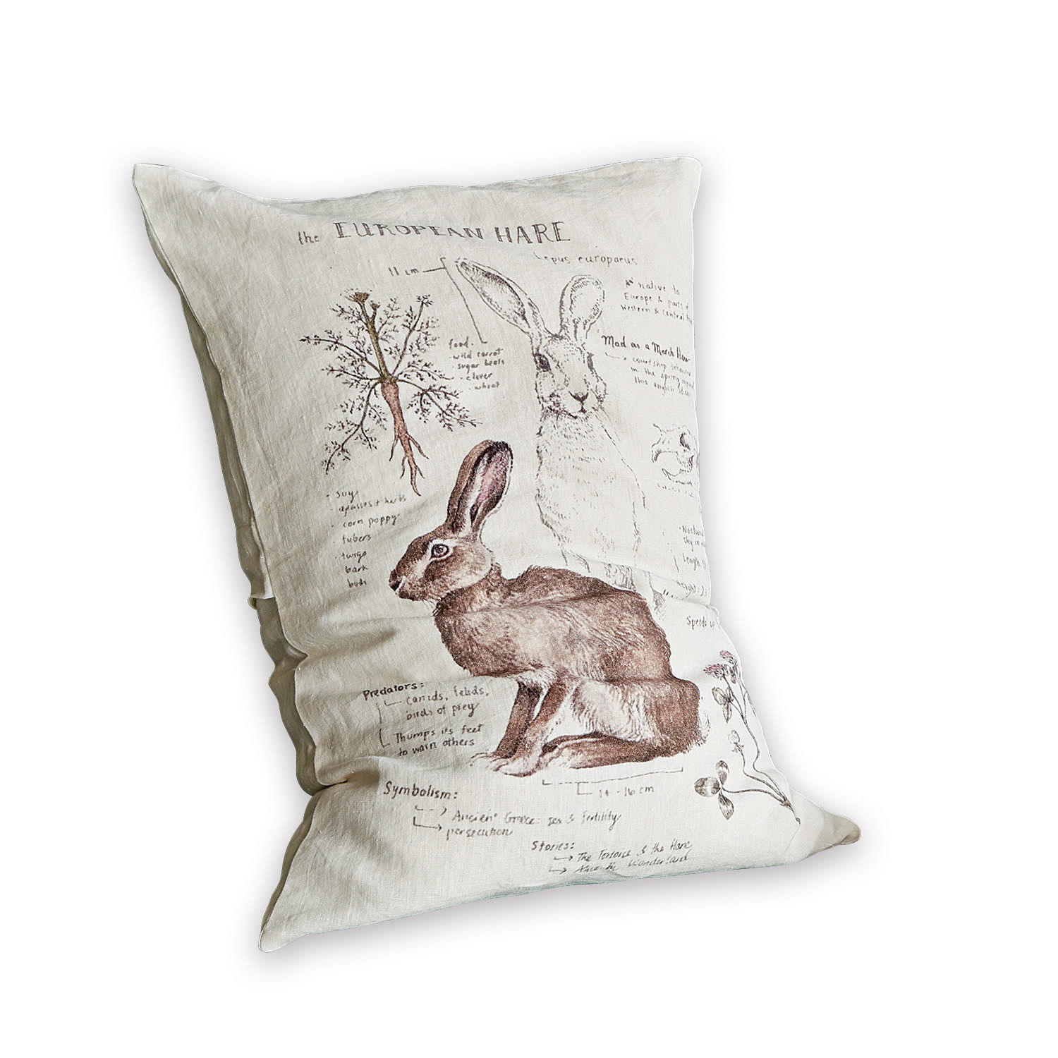 Housse de coussin Kalleur Coussin en lin avec illustration du lièvre européen et dessins botaniques aux tons naturels