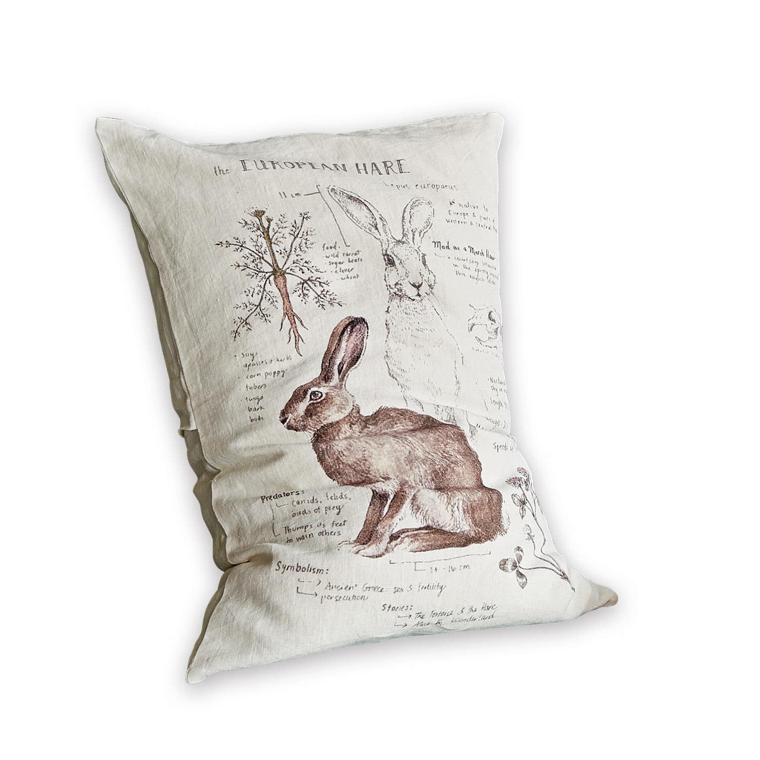 Housse de coussin Kalleur Coussin en lin avec illustration du lièvre européen et dessins botaniques aux tons naturels