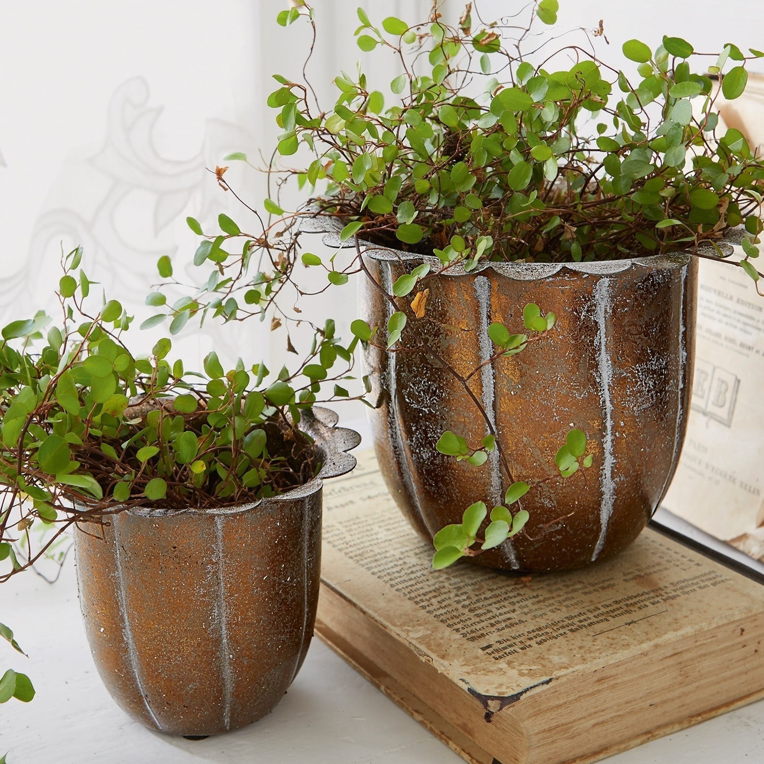 Lot de 2 cache-pots Périers