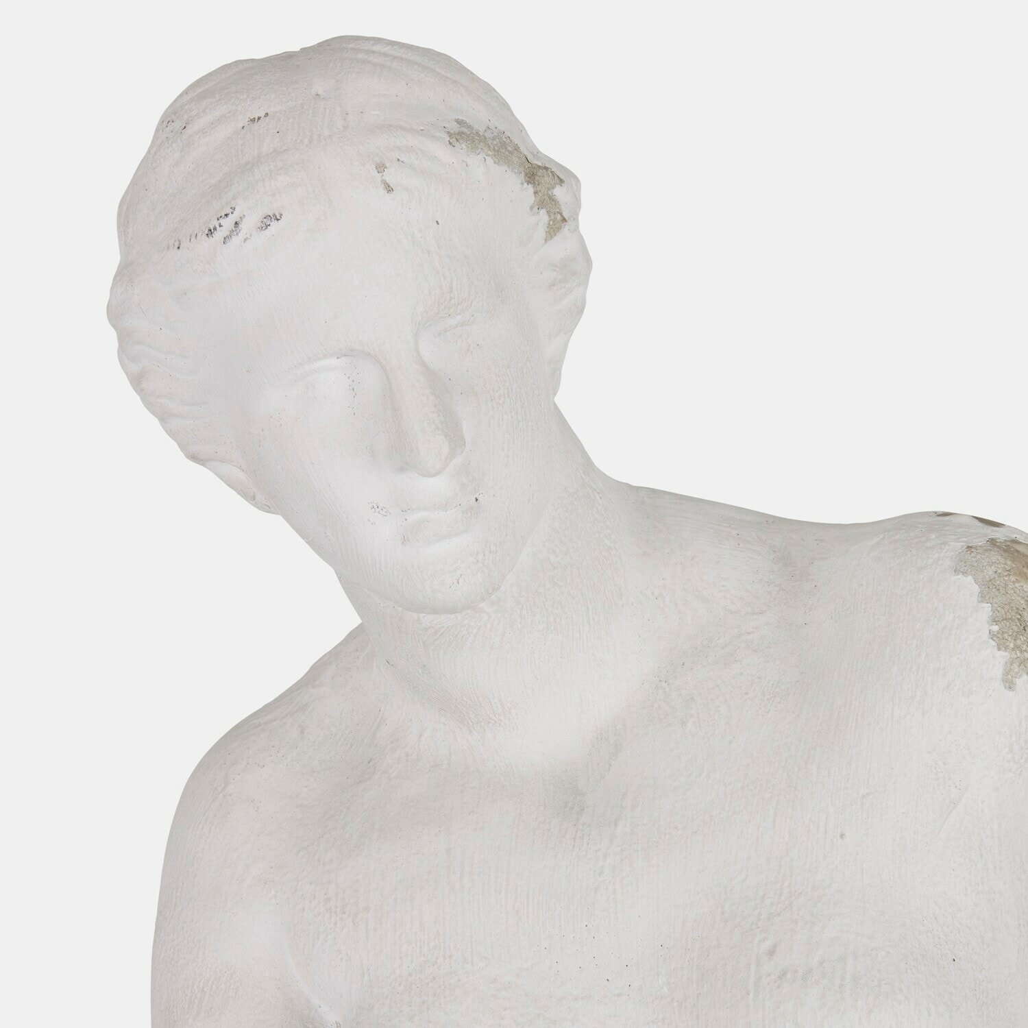 Sculpture Lucinella