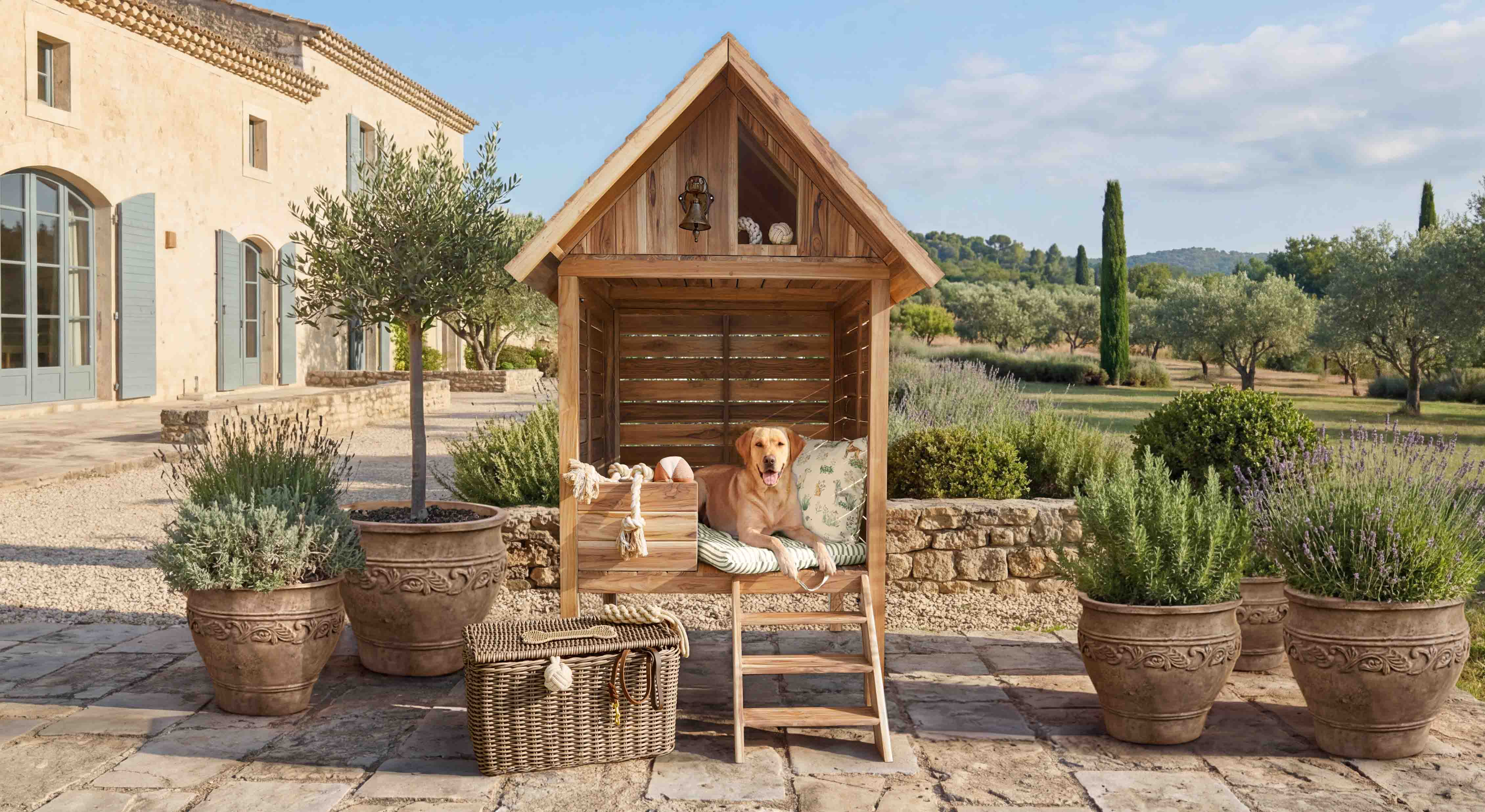 Maison en bois pour chien avec coussin et échelle sur terrasse entourée de plantes en pots