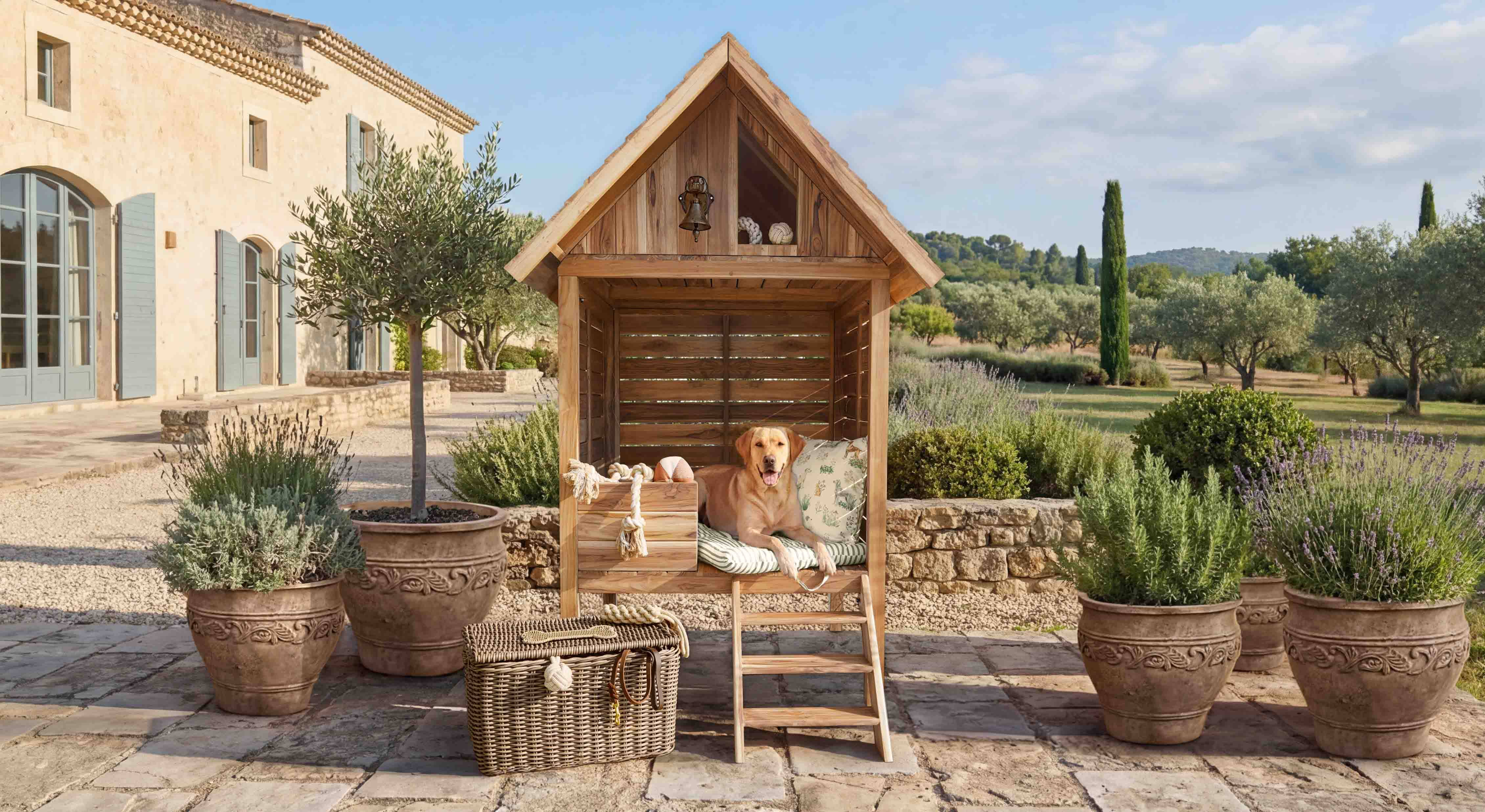 Maison en bois pour chien avec coussin et échelle sur terrasse entourée de plantes en pots
