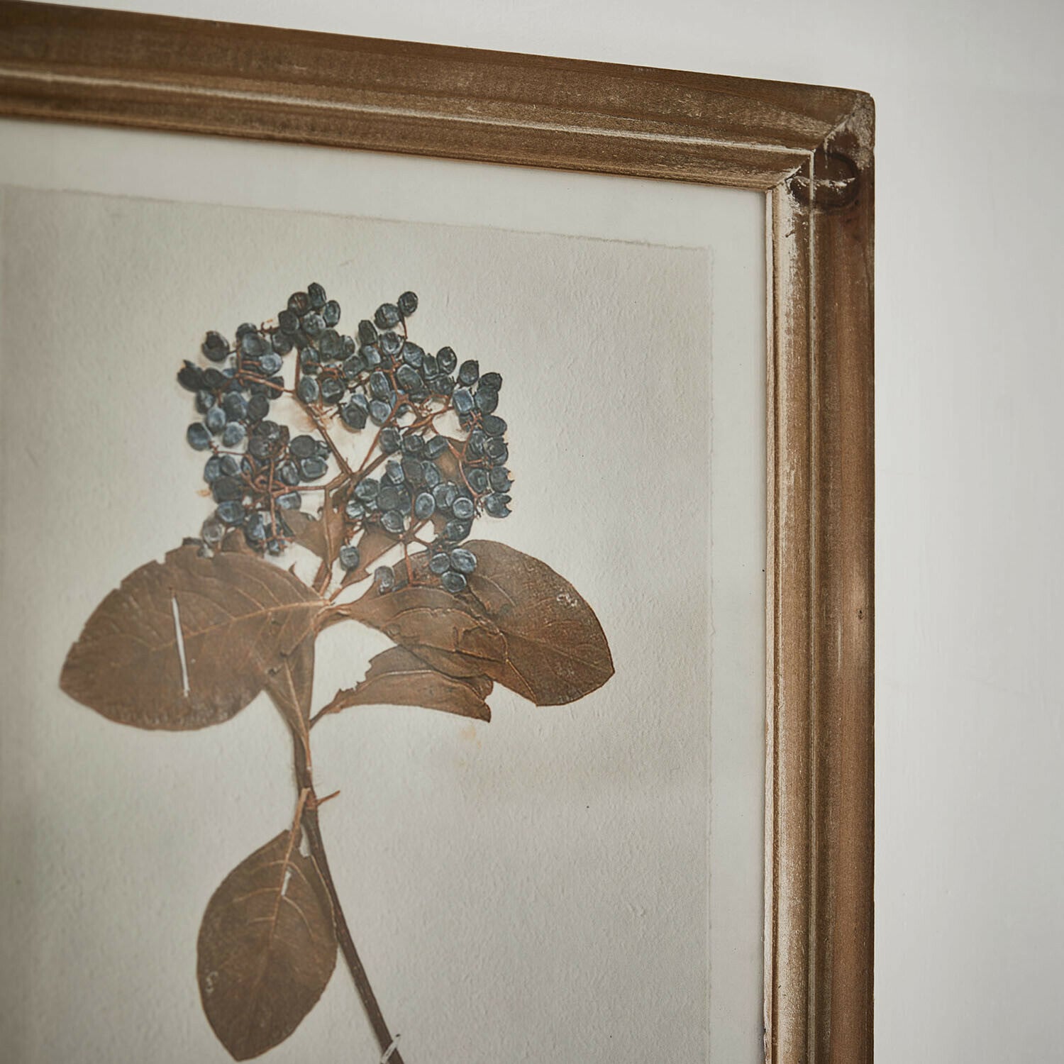 Image set de 2 Tanneau