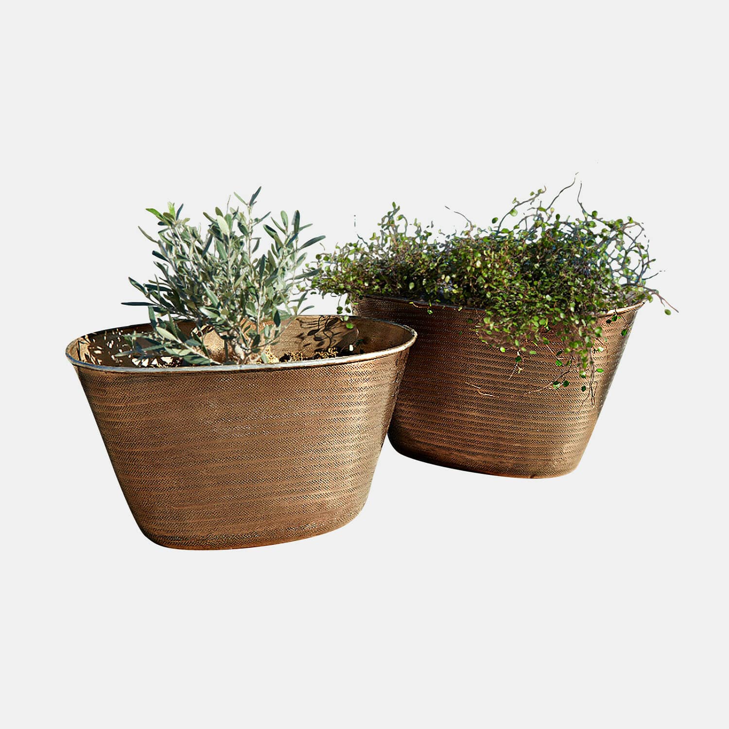 Lot de 2 cache-pots Rinalo