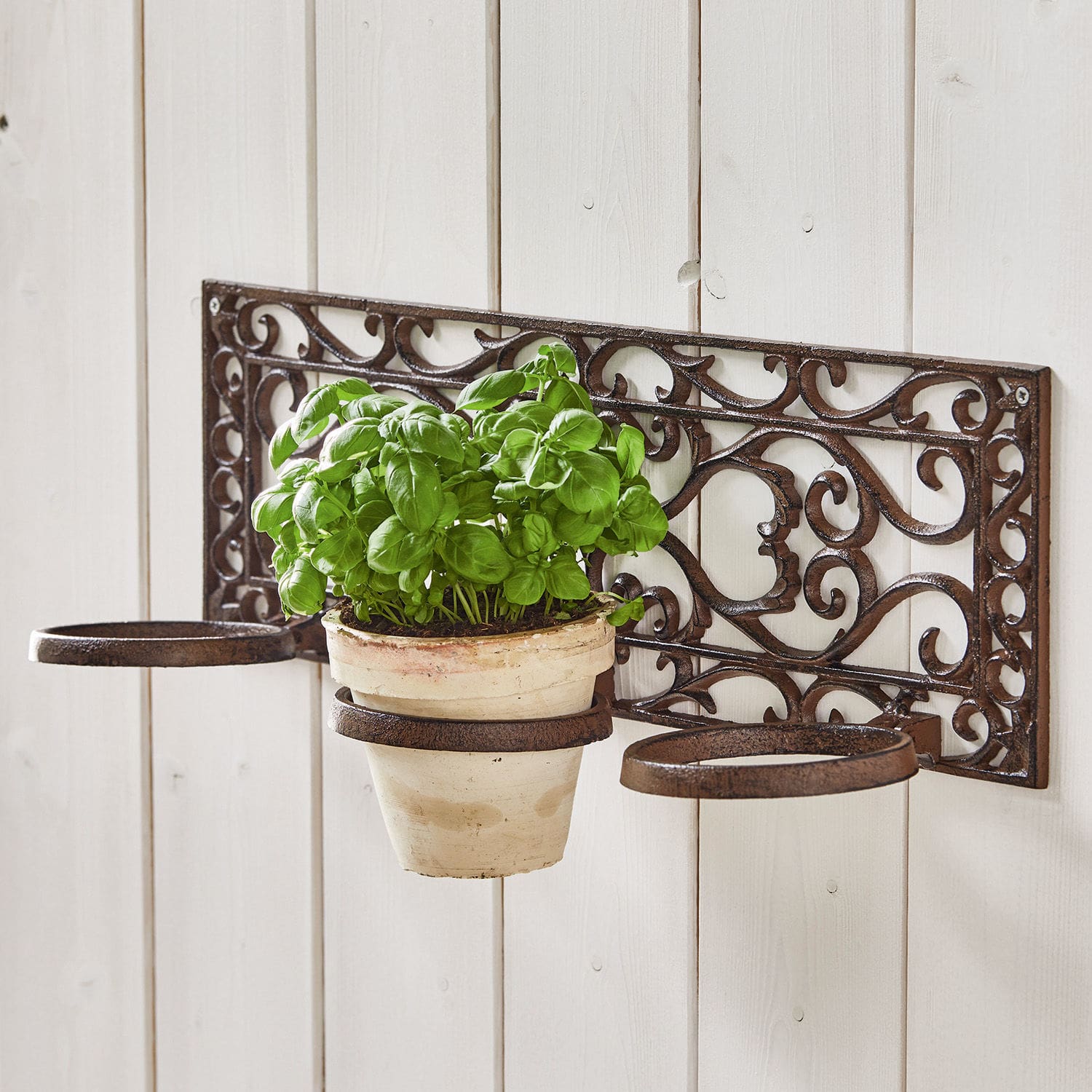 Porte-plantes Plesnois