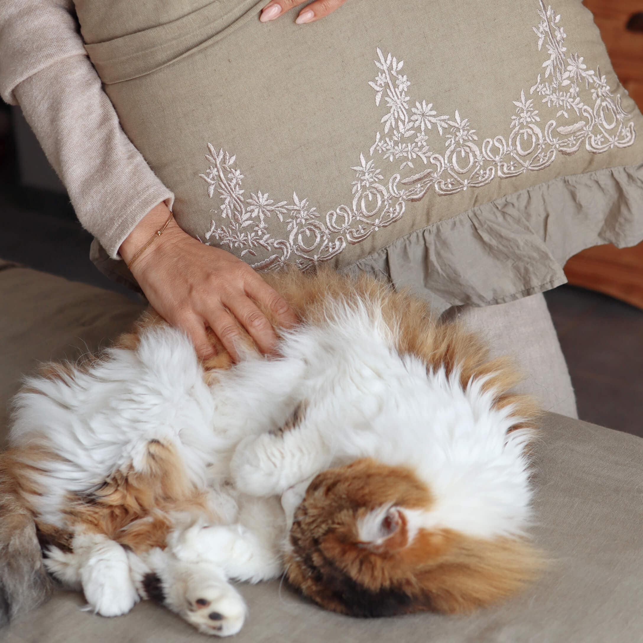Main caressant un chat blanc et roux duveteux sur un canapé beige avec un coussin brodé