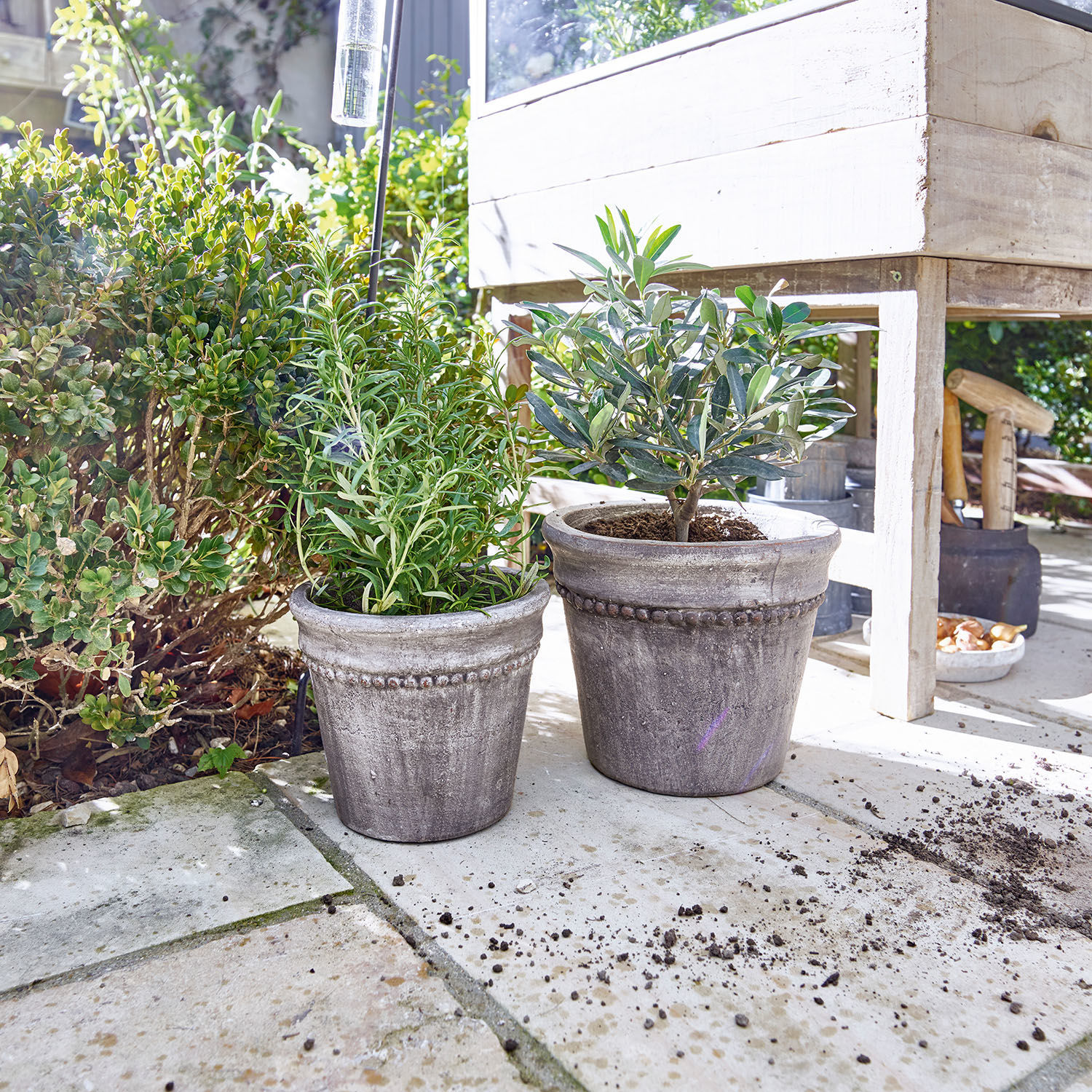 Lot de 2 cache-pots Halston