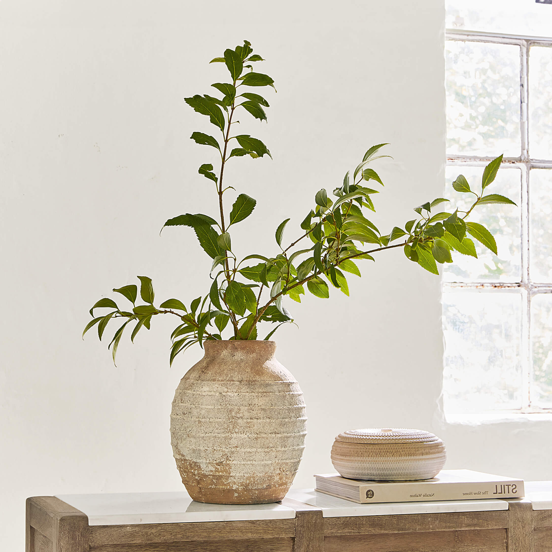 Vase en céramique beige rustique avec feuillage vert sur un meuble en bois avec plateau en marbre
