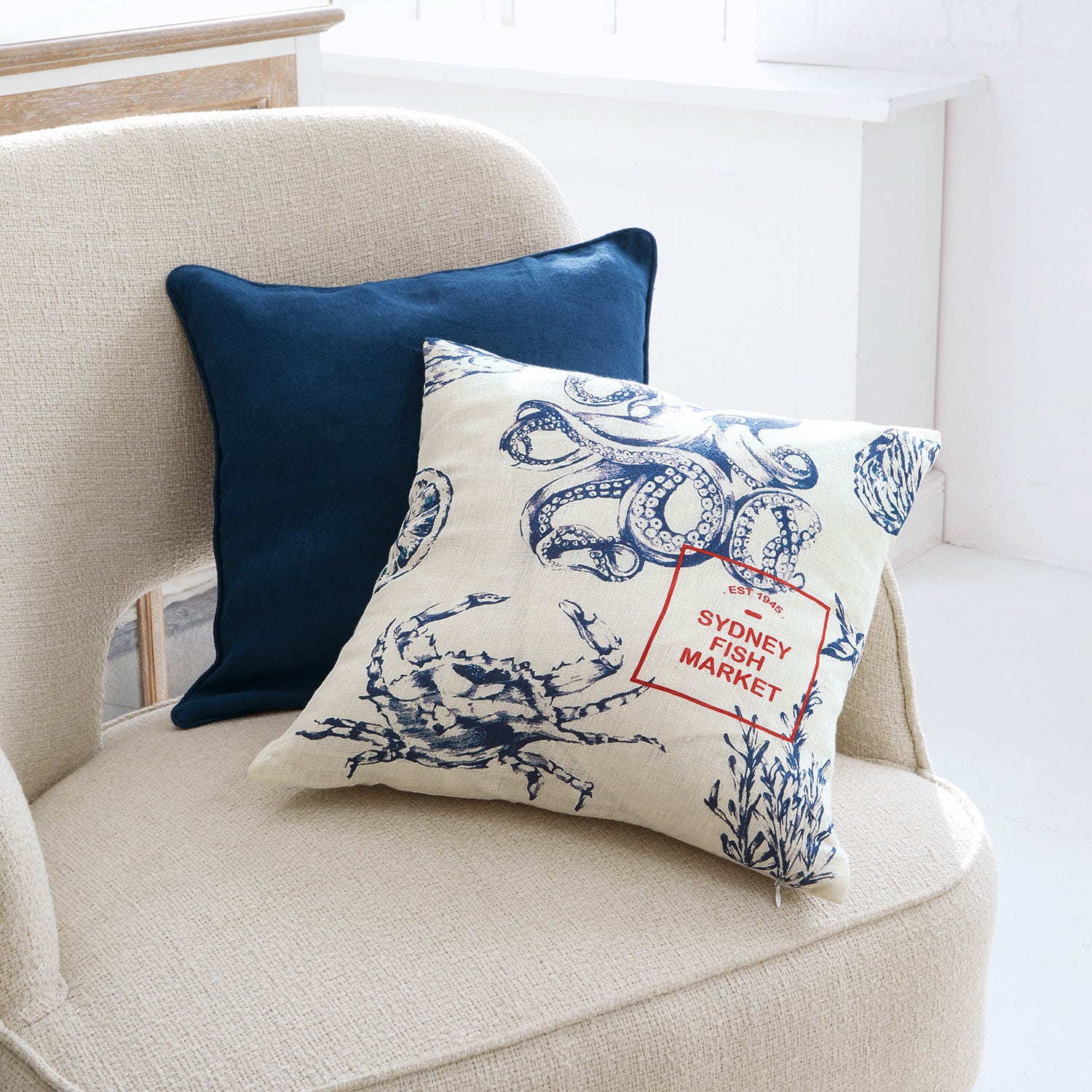 Lot de 2 housses de coussins Ciobanu