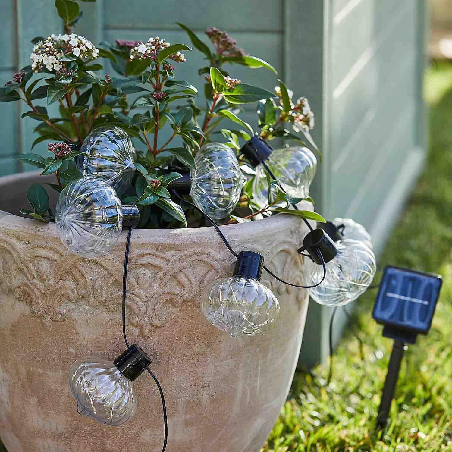 Guirlande solaire à ampoules en verre transparentes sur pot décoratif avec plantes vertes et fleurs blanches