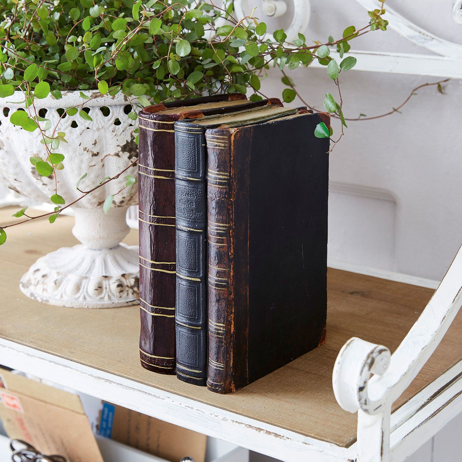 Livre décoratif Boaz Trois livres anciens en cuir foncé sur une table en bois à côté d'un pot blanc avec plante verte