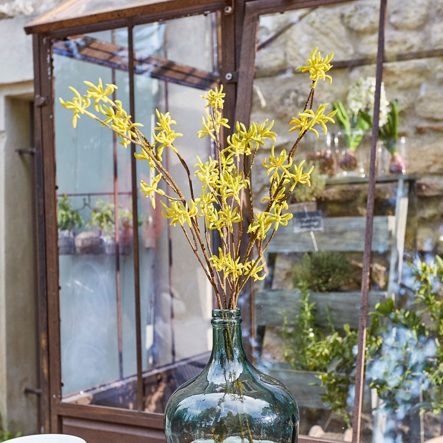 Lot de 3 fleurs décoratives Gillery Branches jaunes dans une grande bouteille en verre vert devant une serre et un jardin