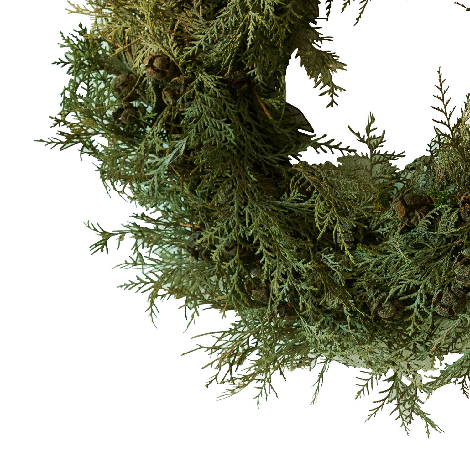 Couronne Willara