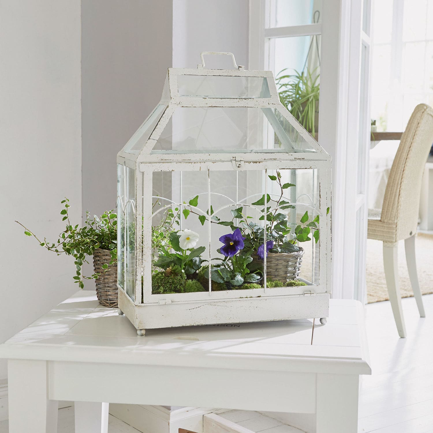 Lanterne Couriar Serre blanche en métal avec plantes en pot sur une table blanche dans un intérieur lumineux