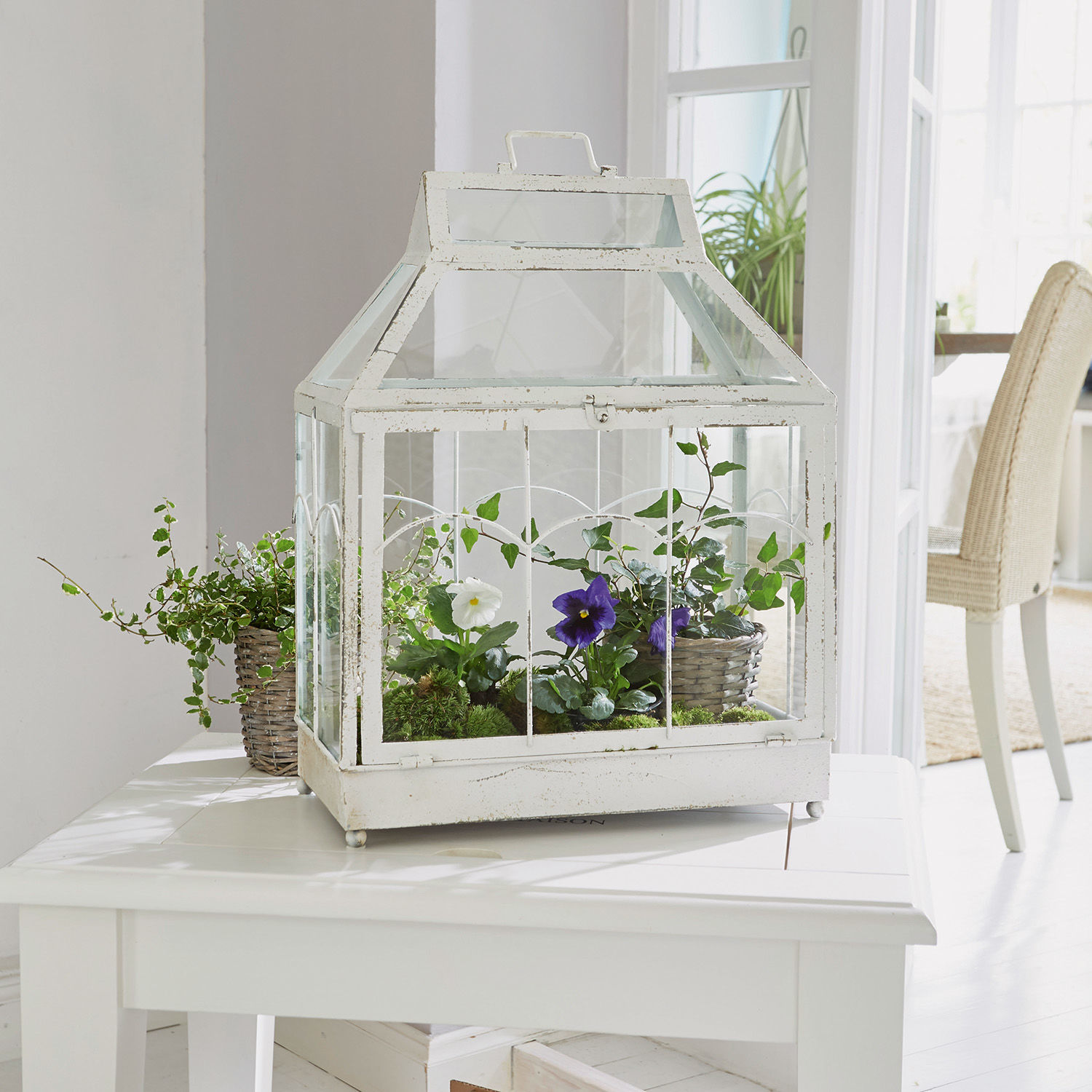 Lanterne Couriar Serre blanche en métal avec plantes en pot sur une table blanche dans un intérieur lumineux