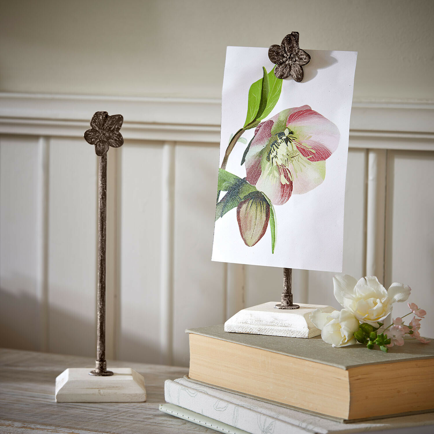 Lot de 3 images avec supports Serafinas